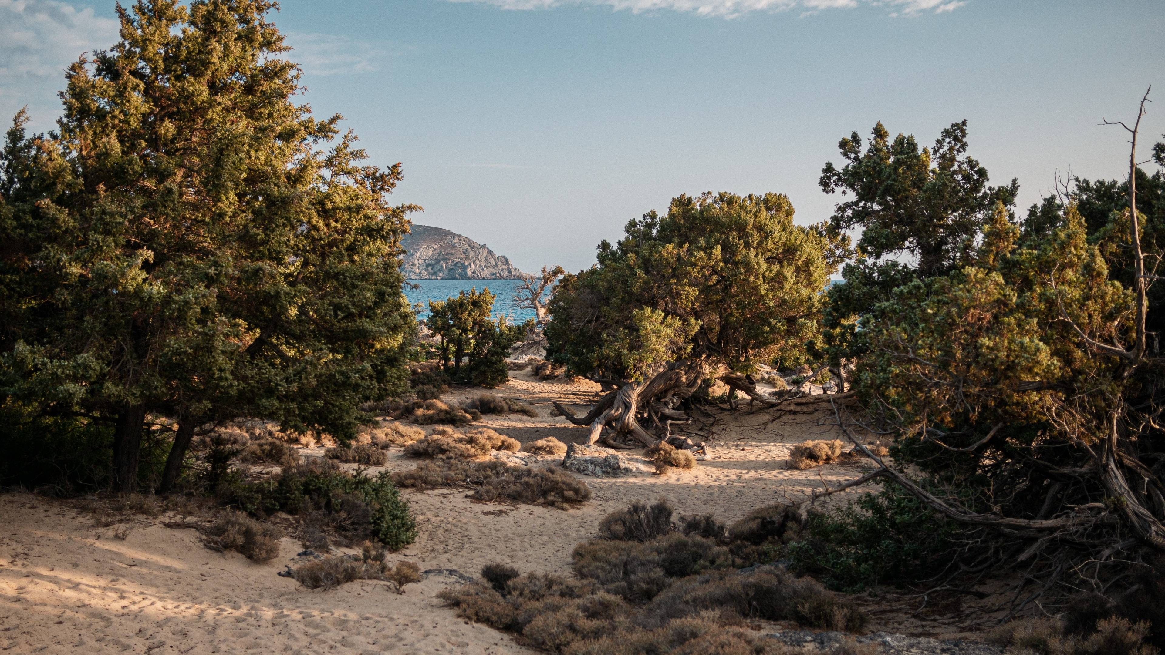 Santorin et Crète : deux incontournables enchanteurs