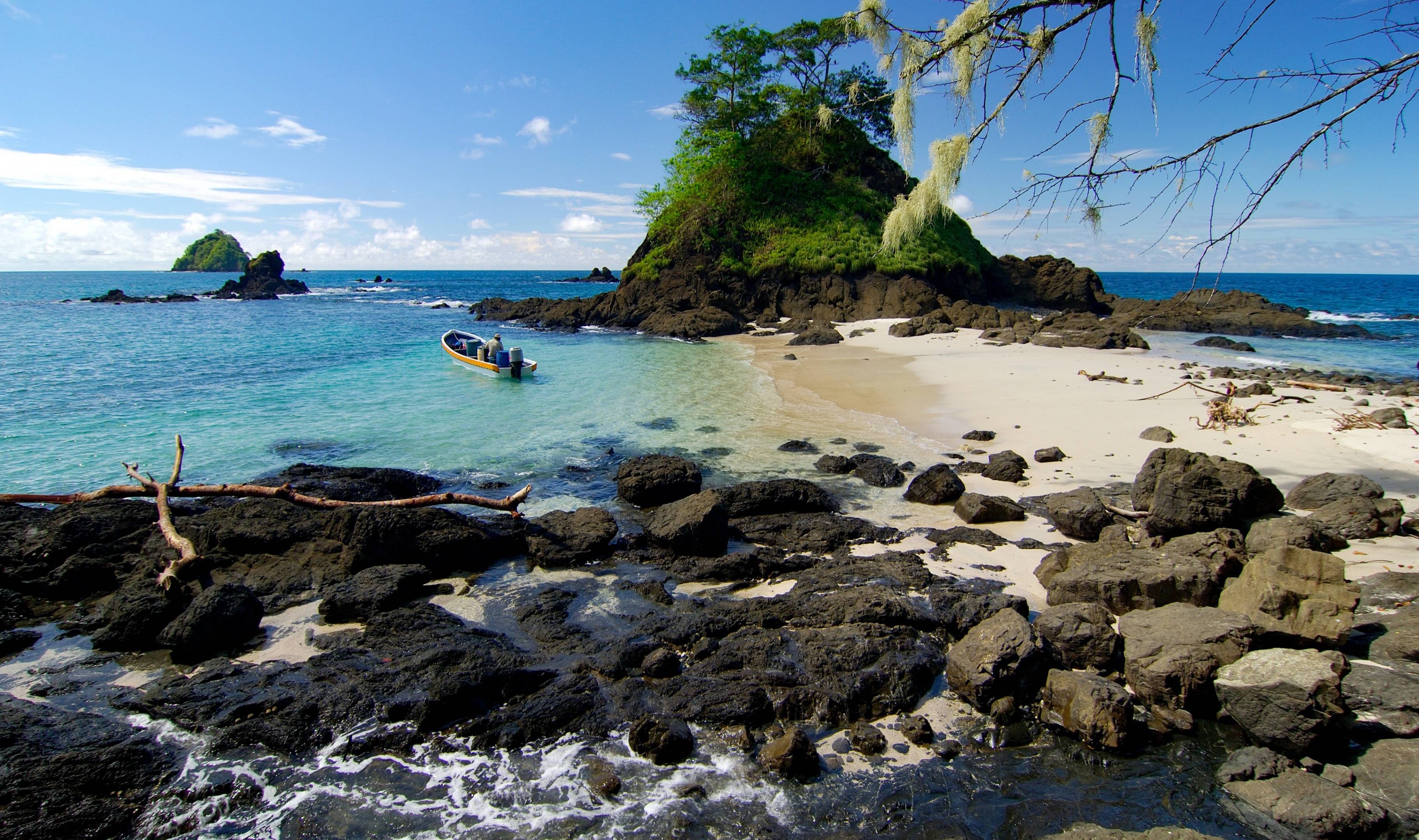 Escapade au Pacifique : Un Sanctuaire de Luxe dans la Nature Sauvage
