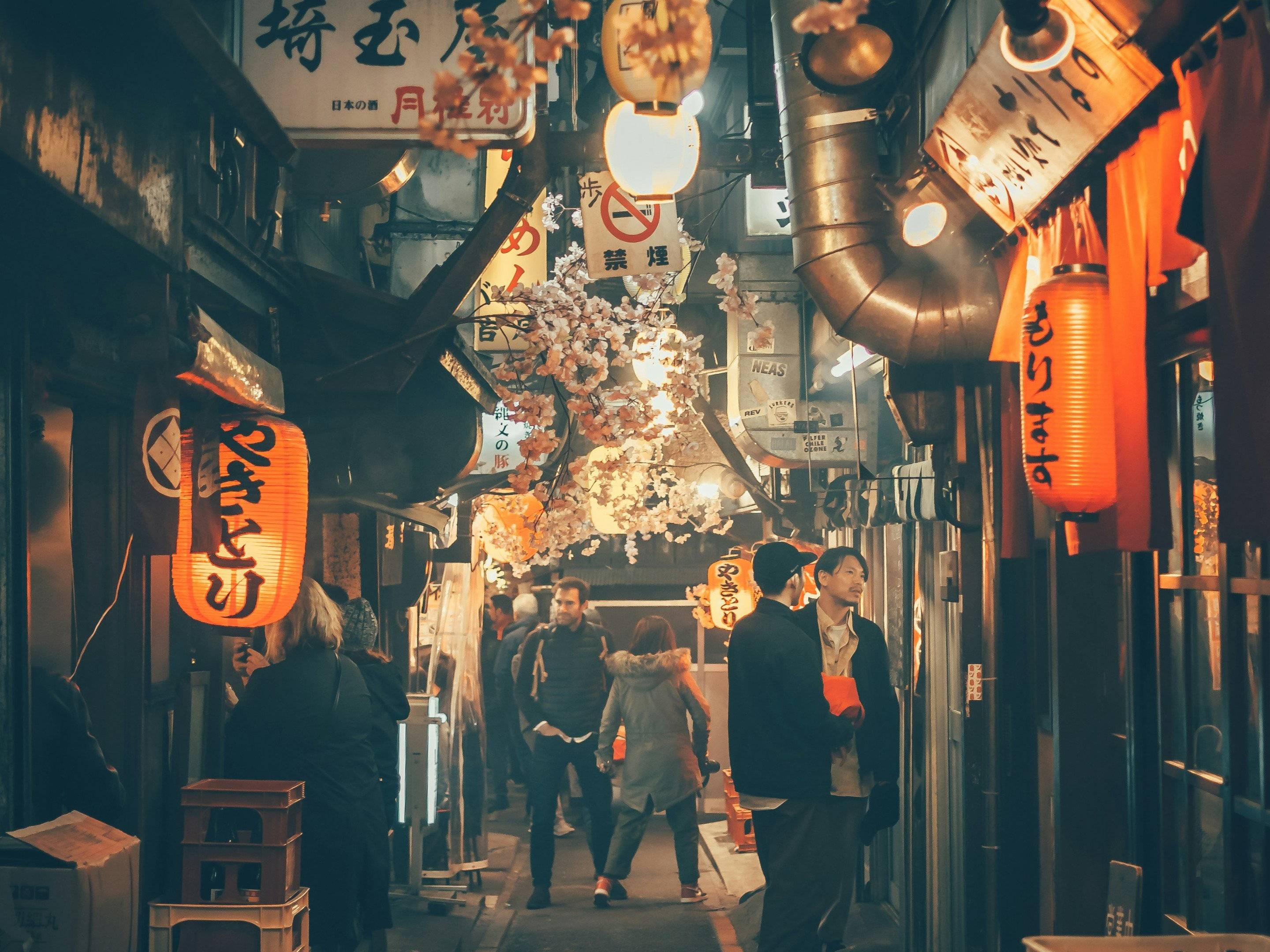 Japón Moderno y Clásico, Viaje de Contrastes de Tokio a Kioto