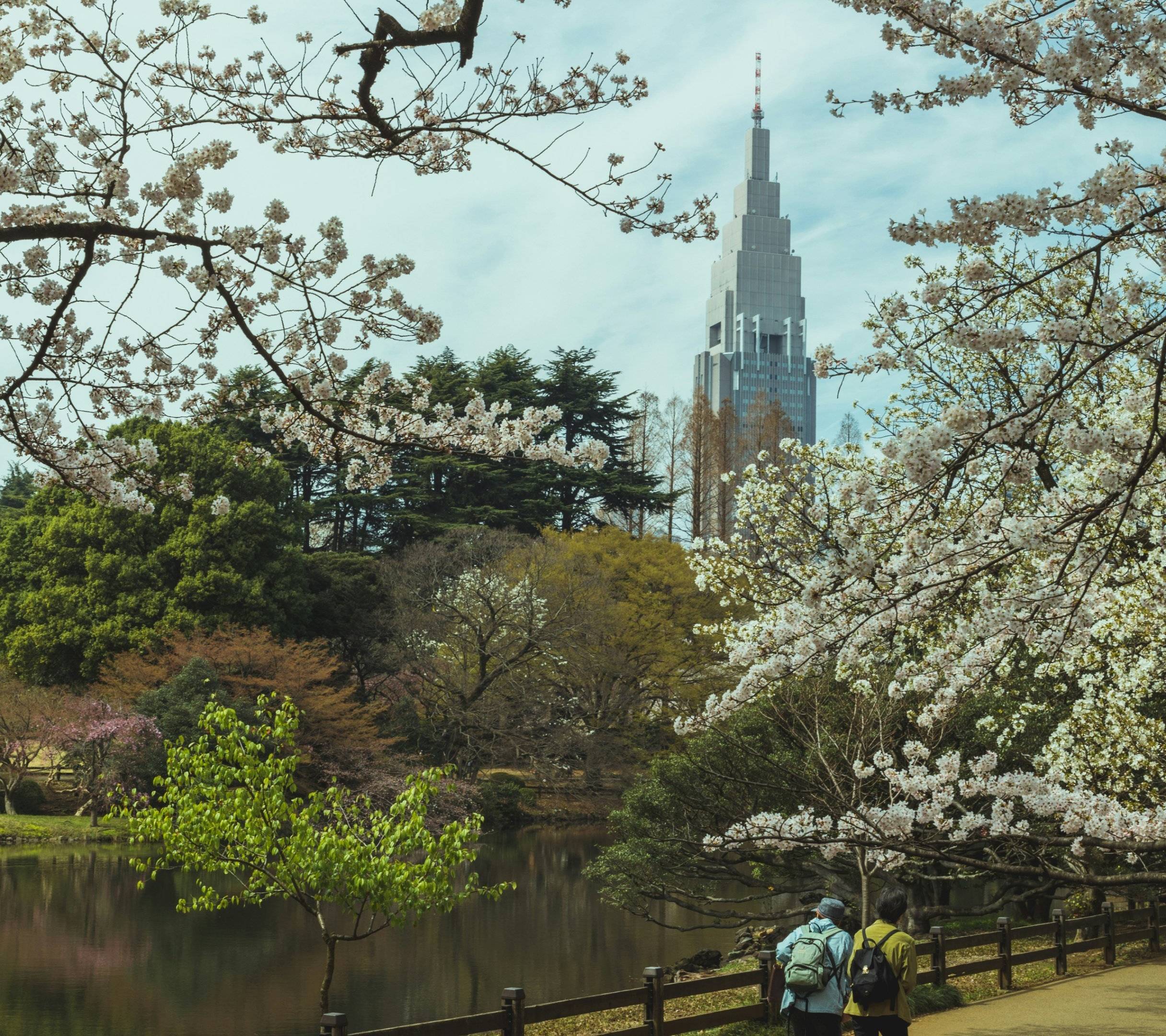 Japón Verde, Tour Ecológico por la Naturaleza y Cultura