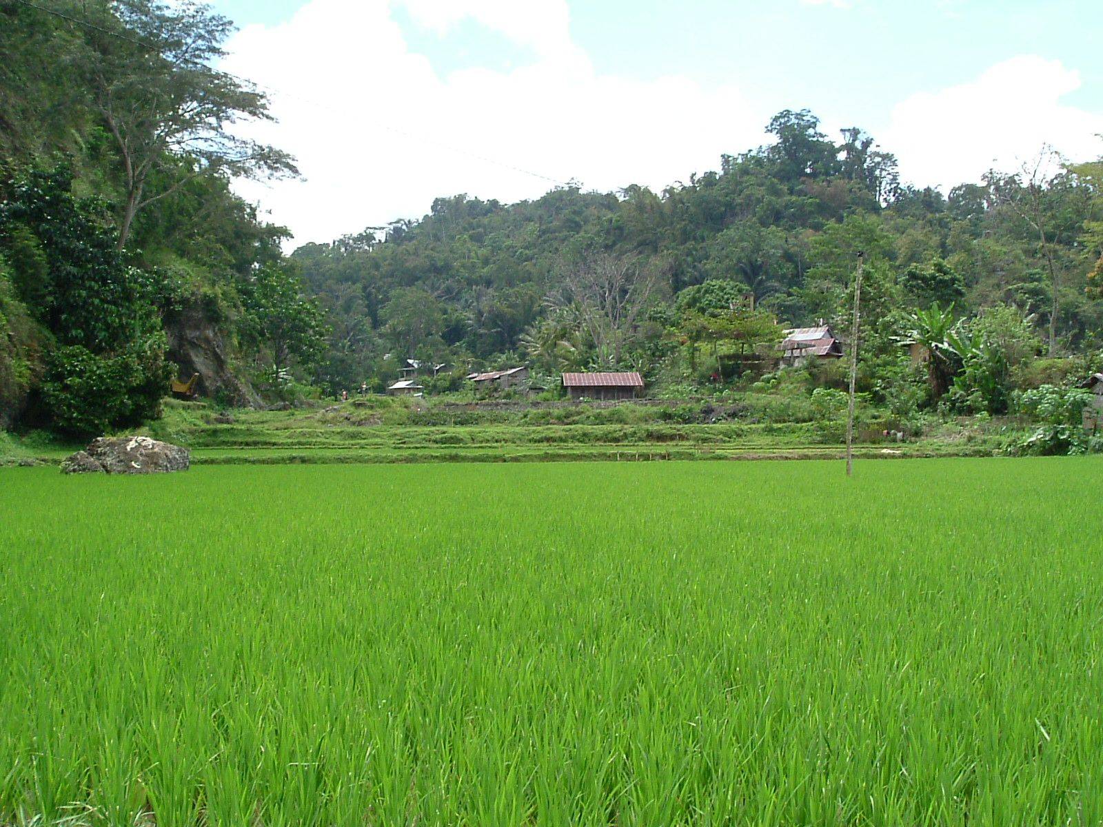 Visite du pays Toraja