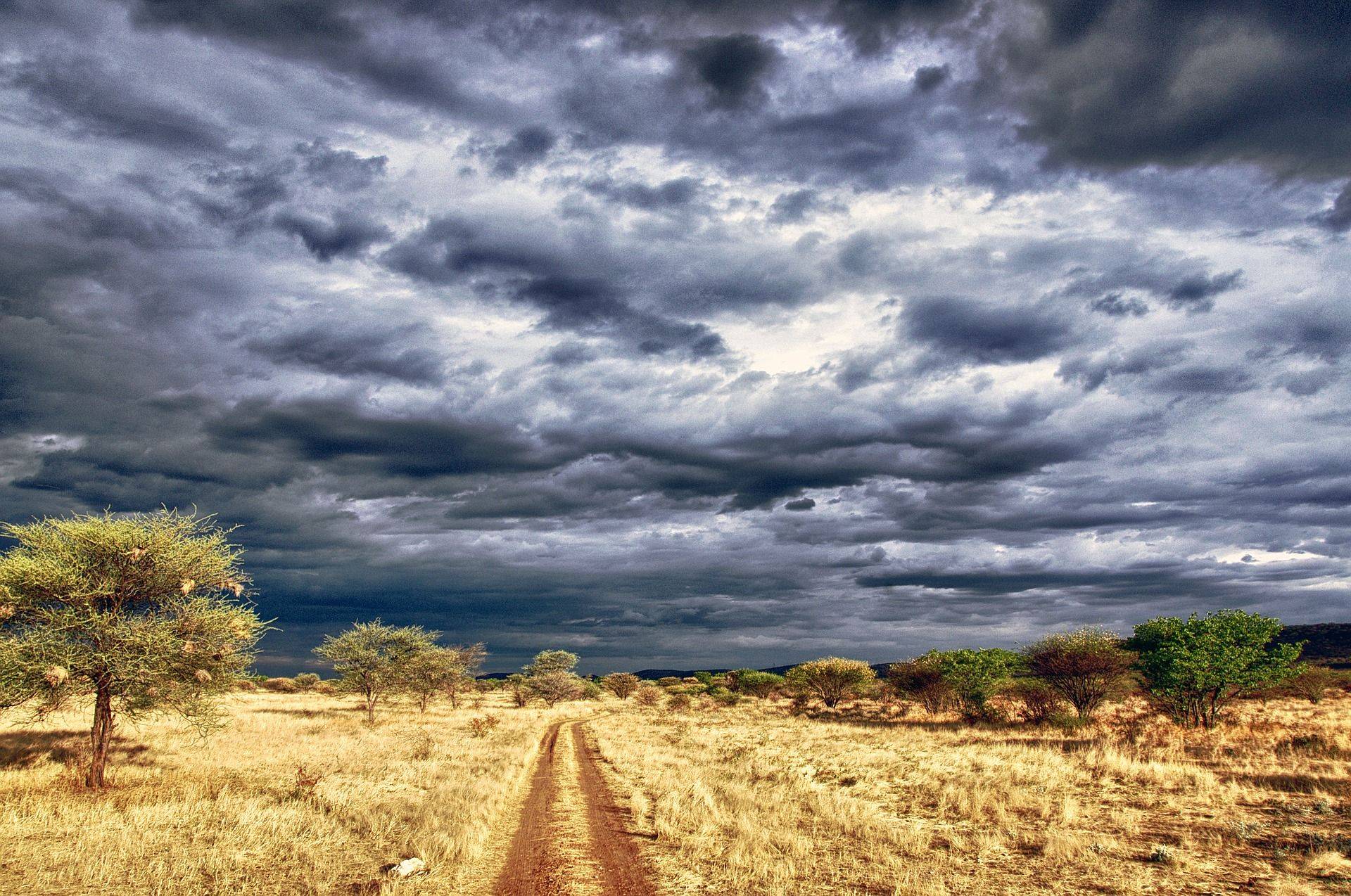 Mythique désert du Kalahari