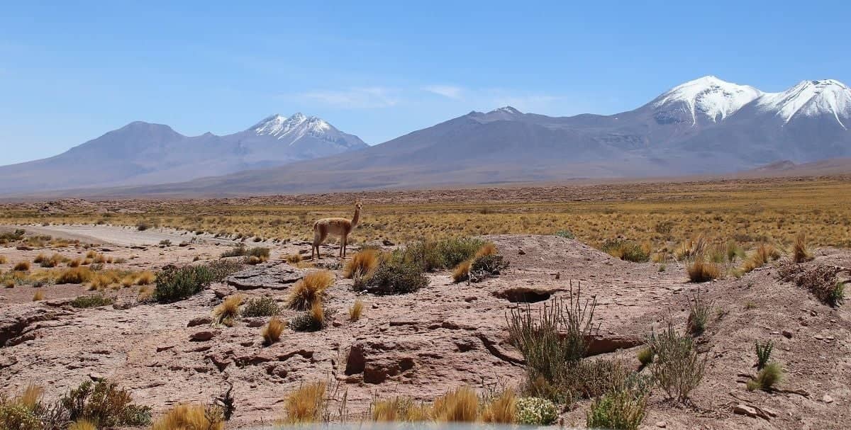 Excursion au coeur de l'Altiplano