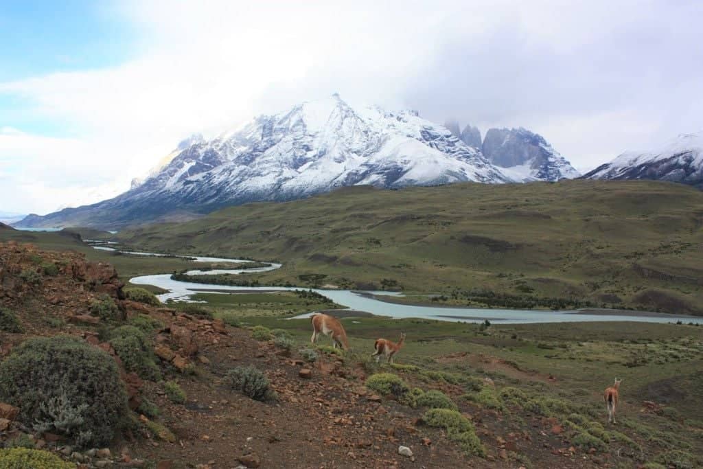 Explorez les paysages splendides de Torres del Paine