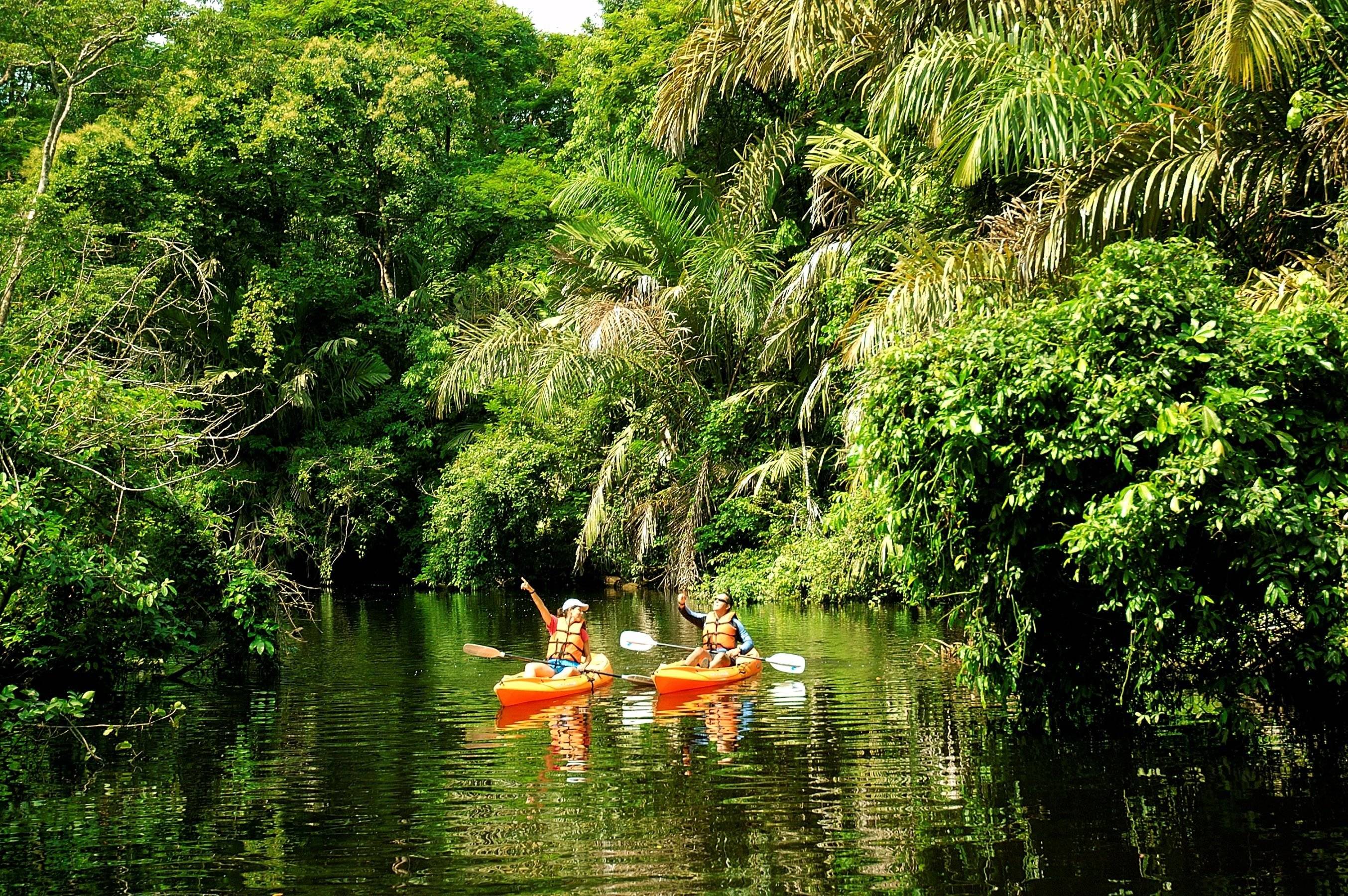​Kanalfahrt & Regenwaldwanderung in Tortuguero