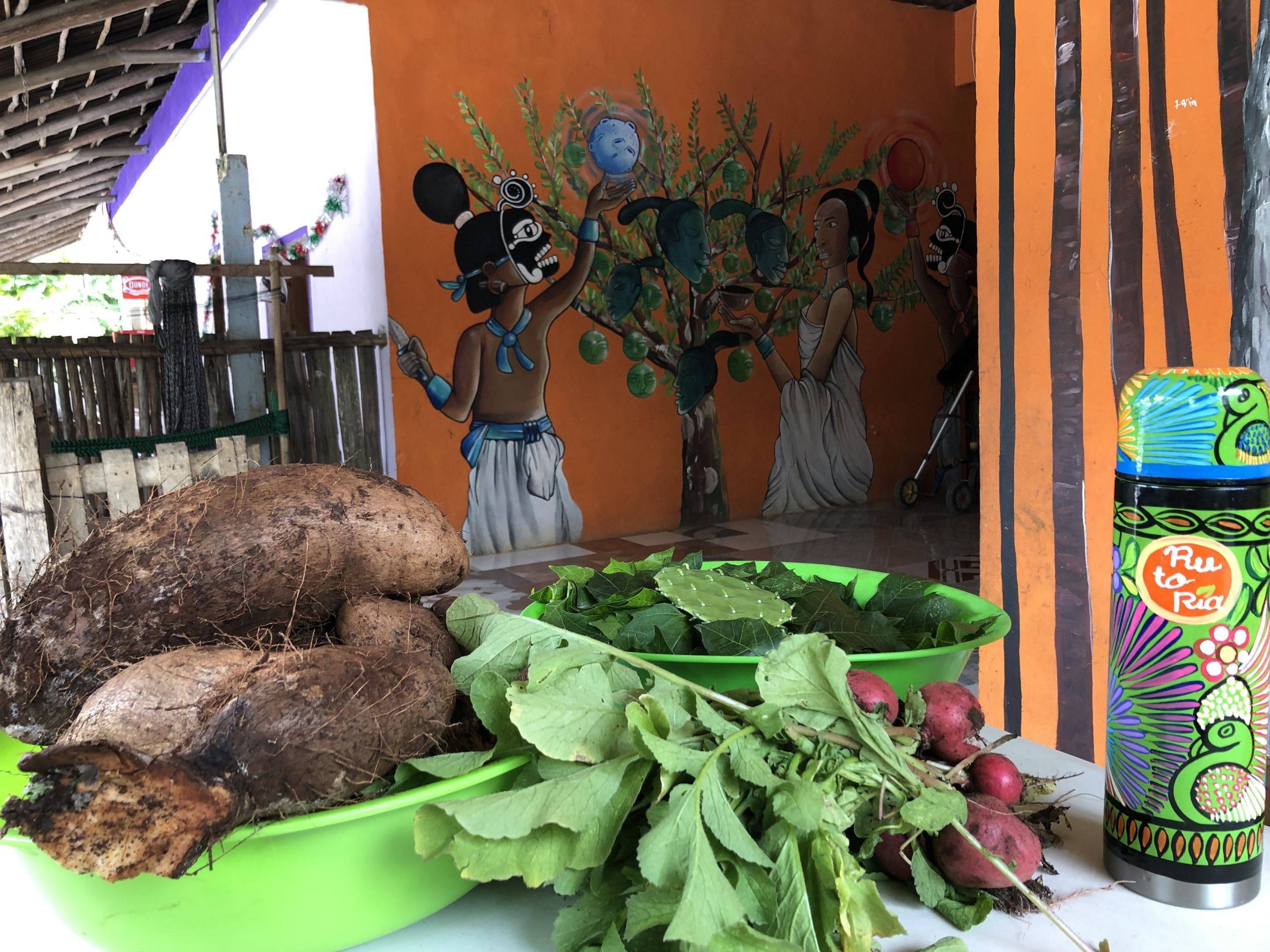 Eveillez vos papilles à la gastronomie maya : Nuevo Durango – Chichen Itza