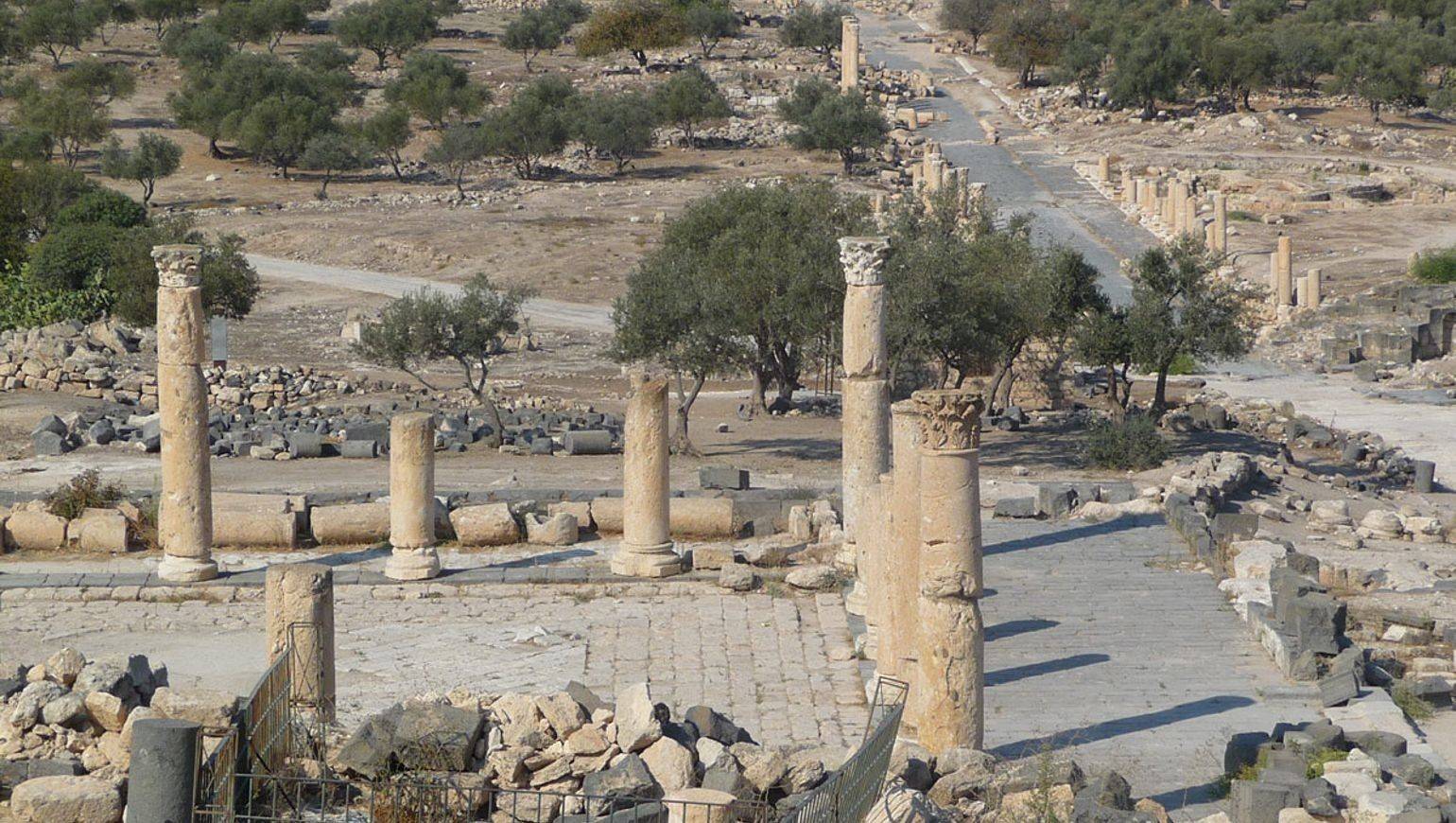Amman historique et les chateaux de desert 