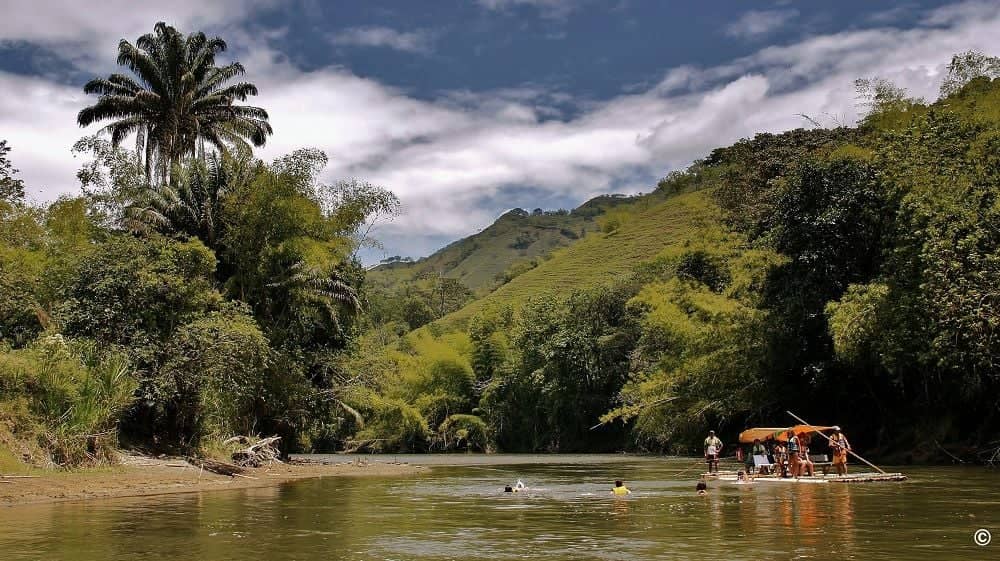 Journée au fil de l’eau sur le Río Vieja en barques traditionnelles
