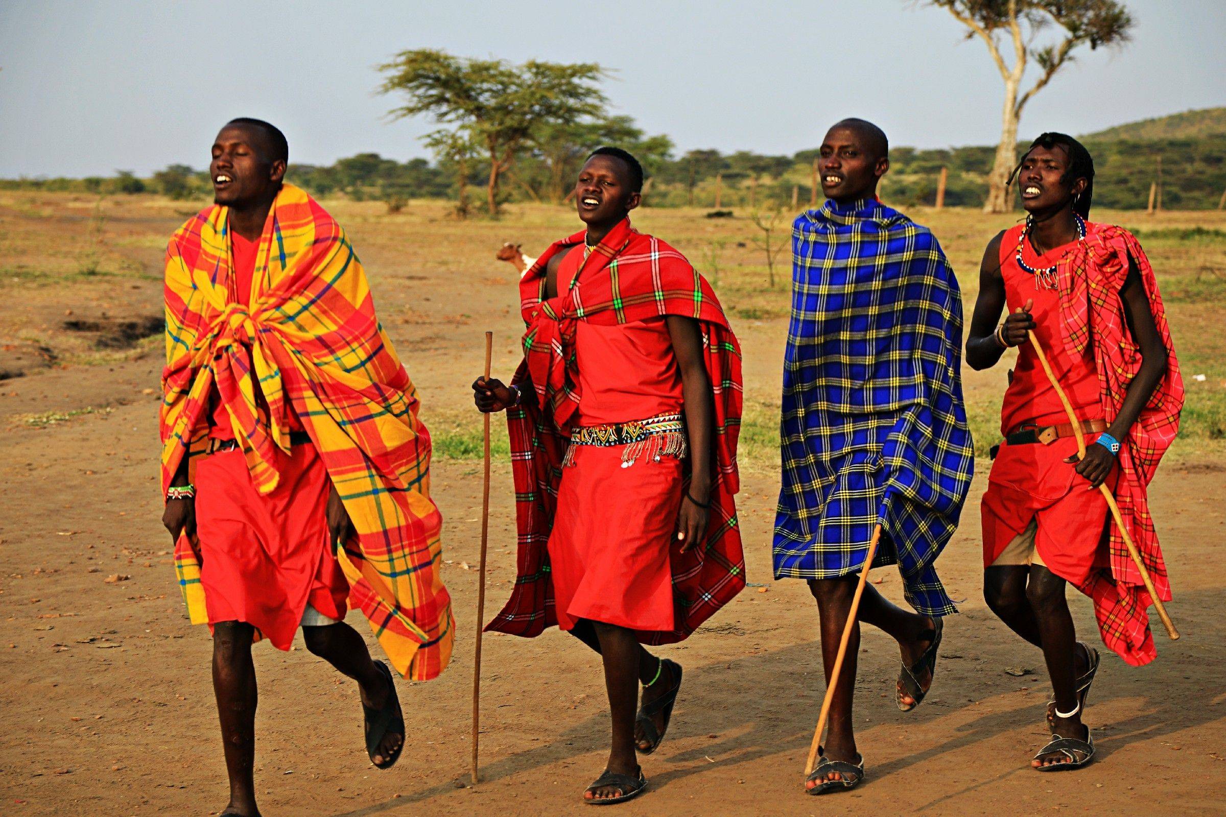Fahrt in die Masai Mara zur Beobachtung der Migration