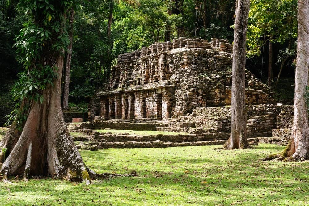 Ausflug zu den Maya Stätten in ​Yaxchilan und Bonampak