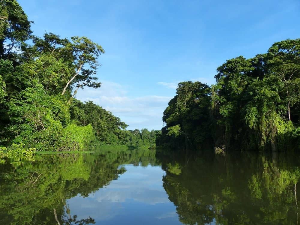 La petite Amazonie du Costa Rica