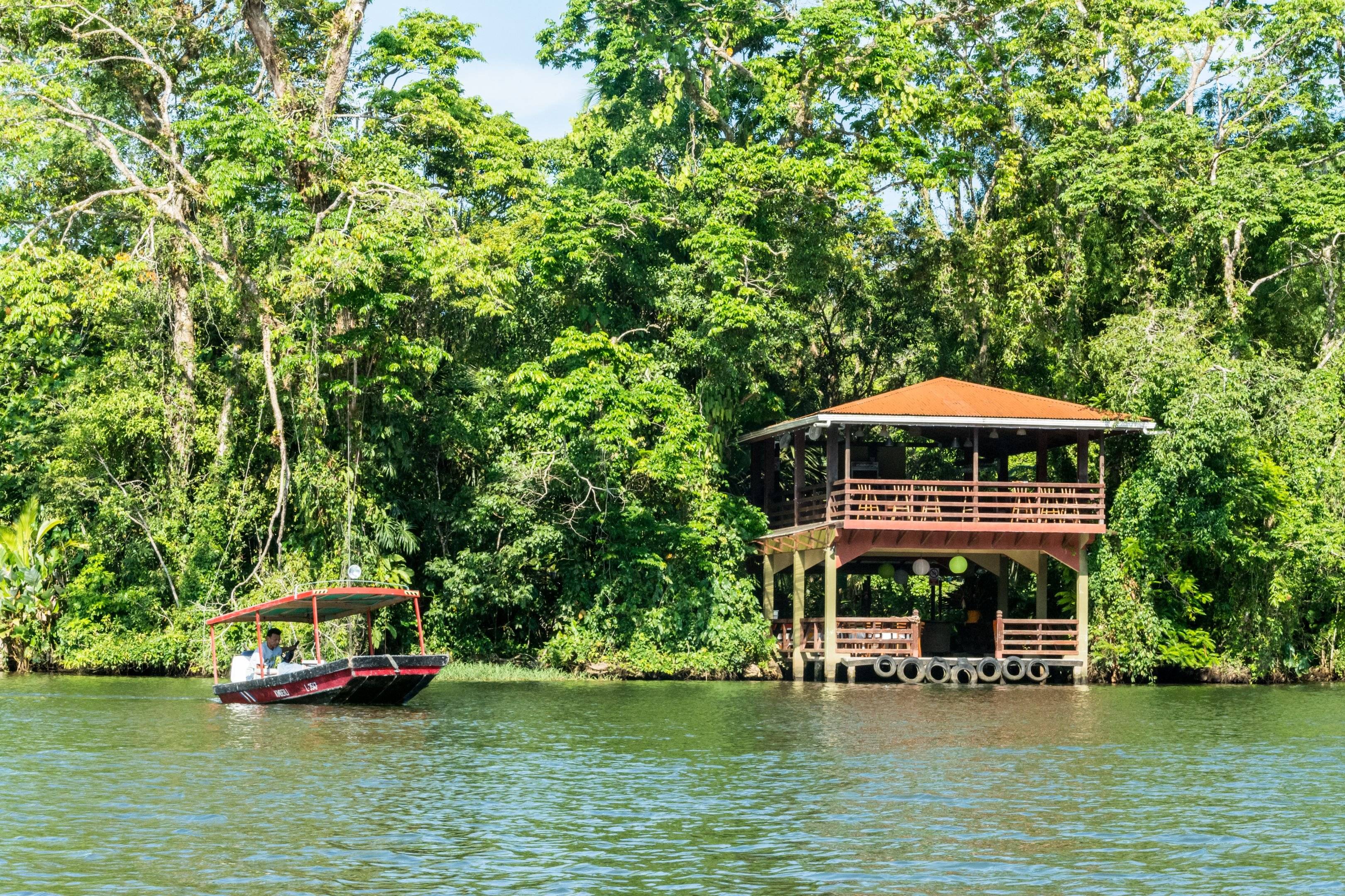 Route vers la petite Amazonie : Tortuguero