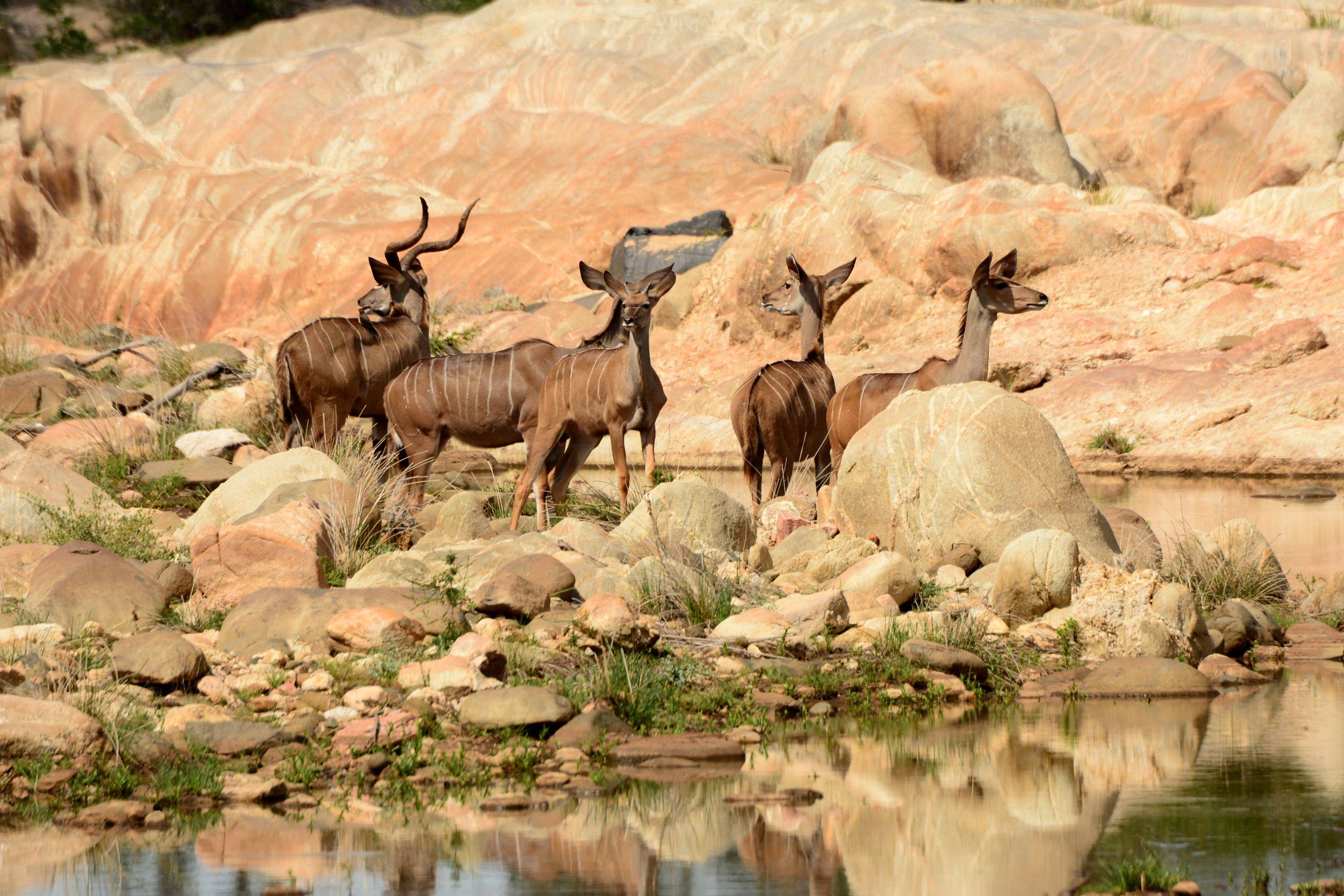Makuleke concession - Kruger National Park