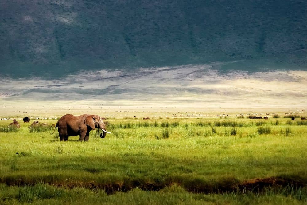 Auf zum Ngorongoro Krater