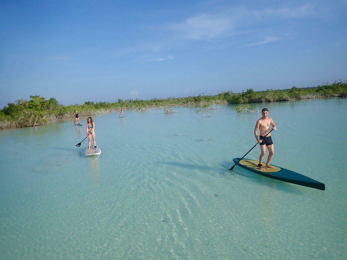 Kayak ou paddle sur la lagune et grotte aux serpents suspendus