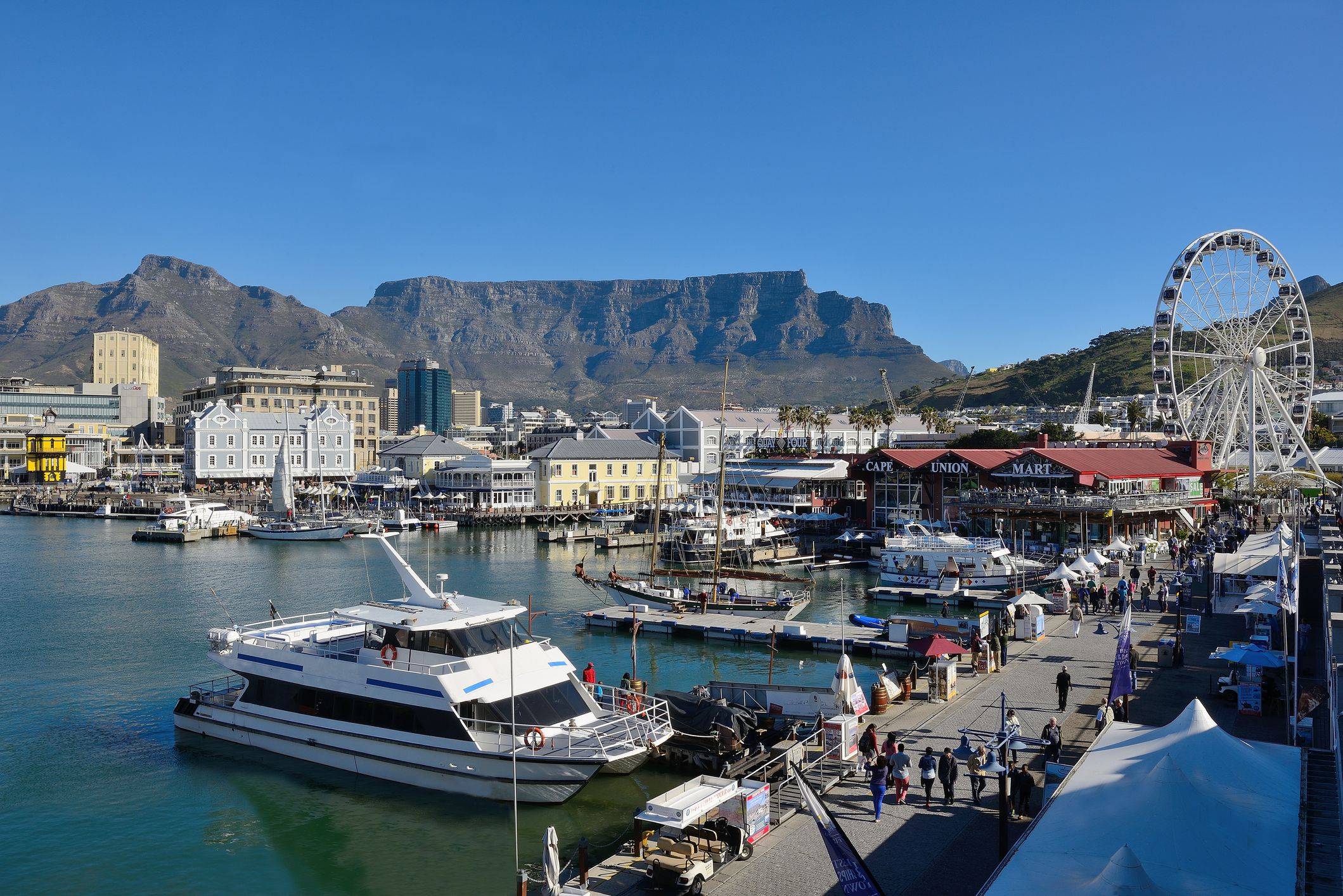 Explorez Cape Town et ses environs