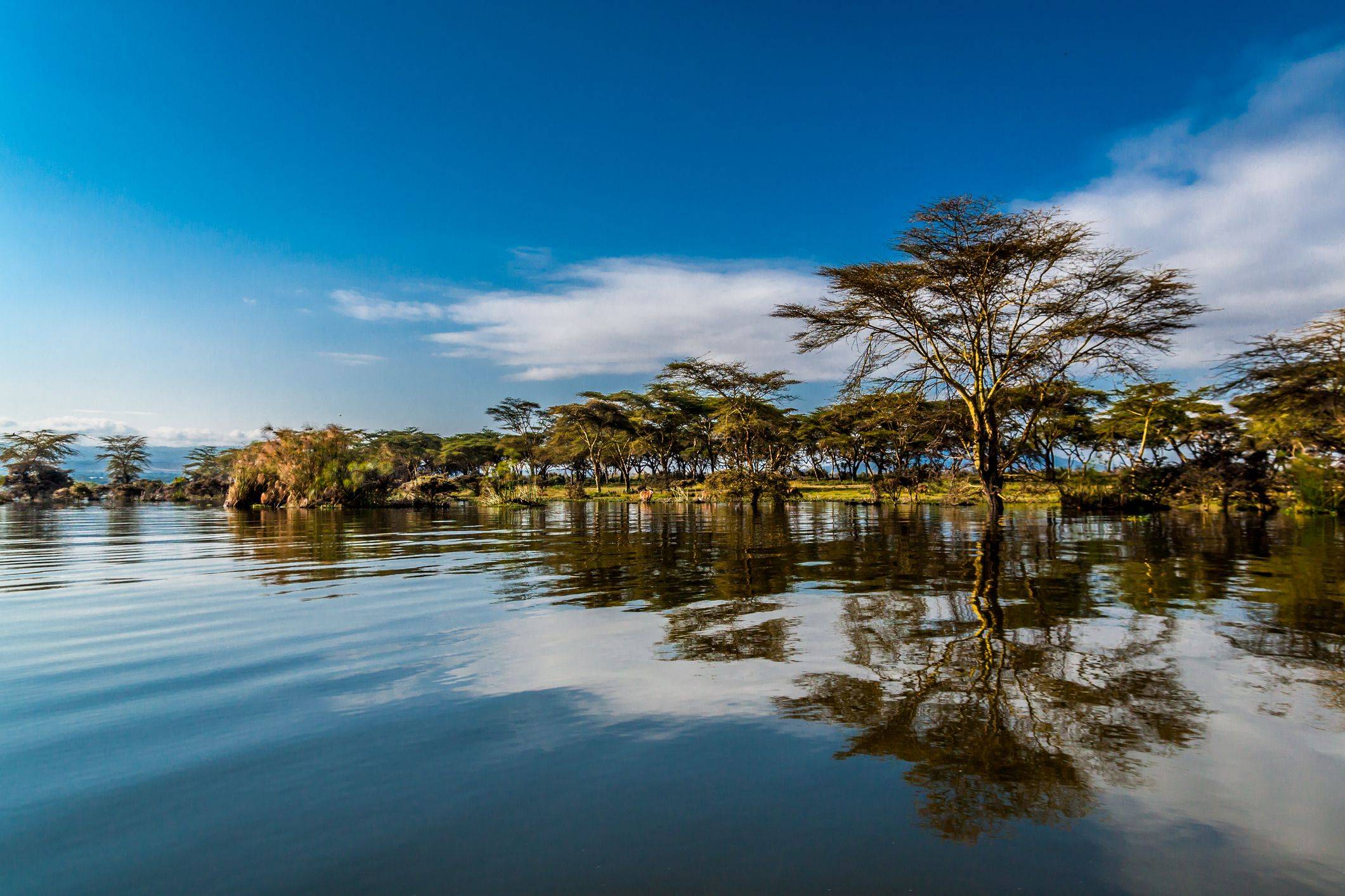 Von Nairobi an den Lake Naivasha 