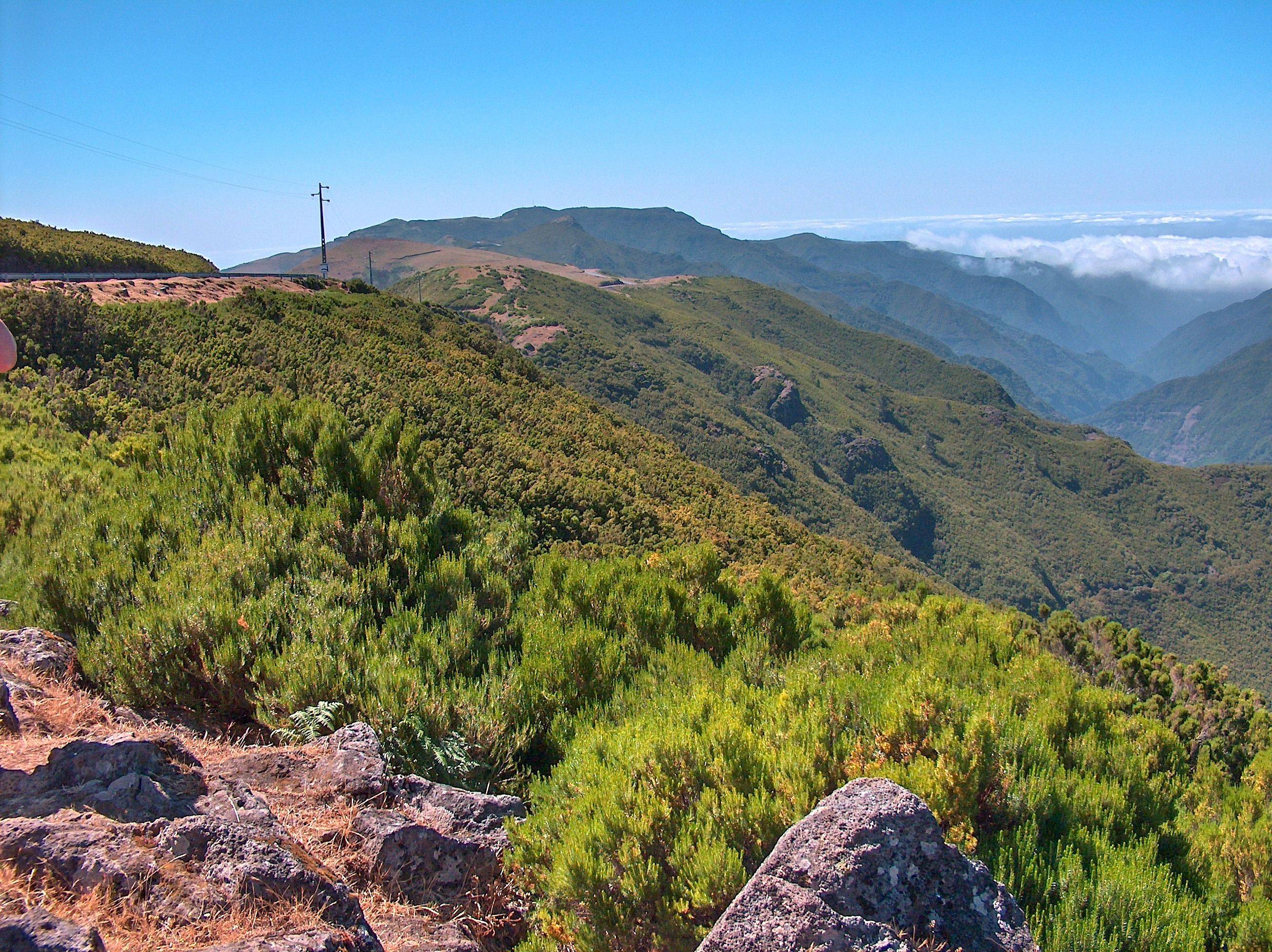 Ruivo do Paul mit Blick auf die Gipfel Madeiras