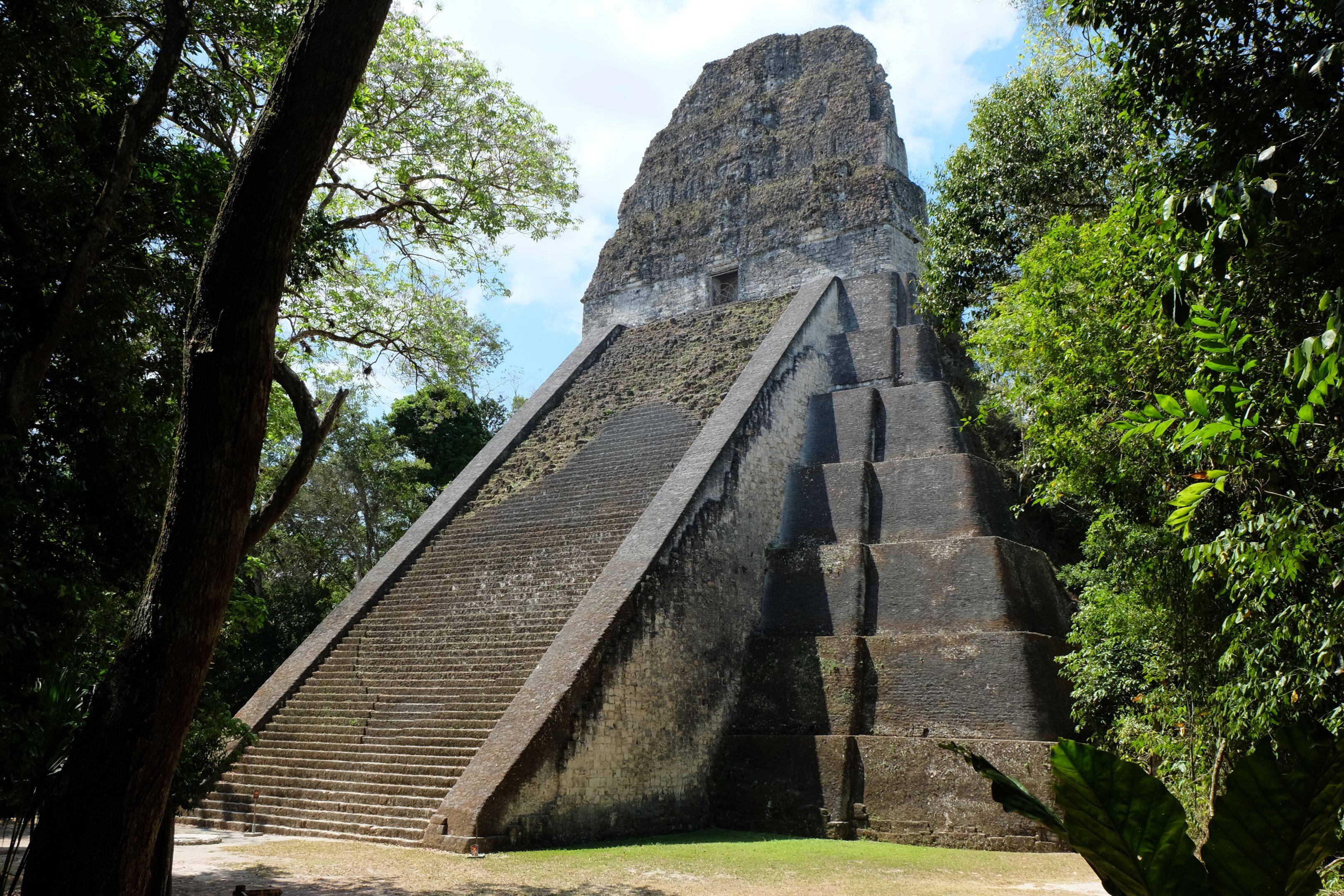 Visite guidée du site maya de Tikal