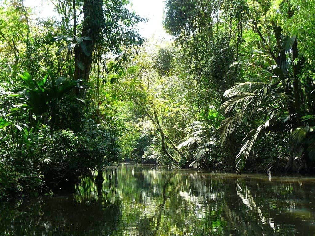 Route vers le parc national de Tortuguero, la petite Amazonie