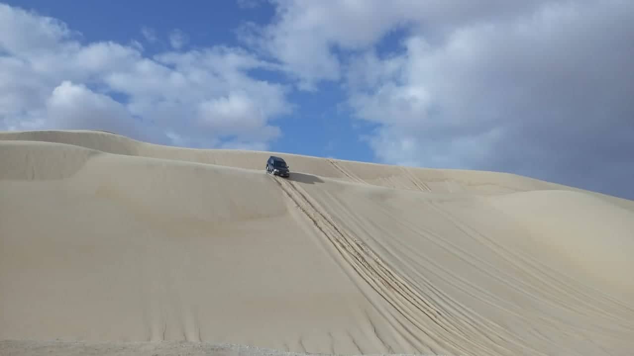 Emozionante safari tra le dune del deserto!