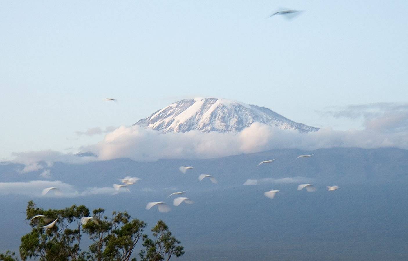 Llegada al Aeropuerto del Kilimanjaro