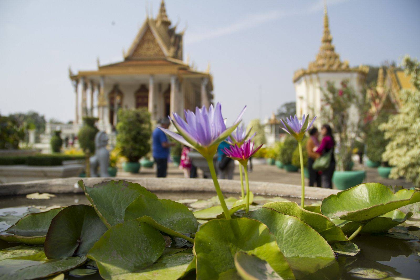 ​Entdecken Sie die Geheimnisse und Geschichte von Phnom Penh!