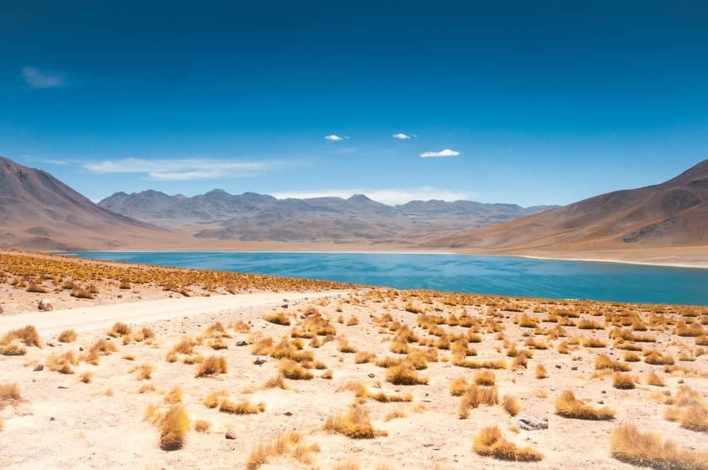 Miscanti & Miñiques Lagunen – Atacama Salzsee 