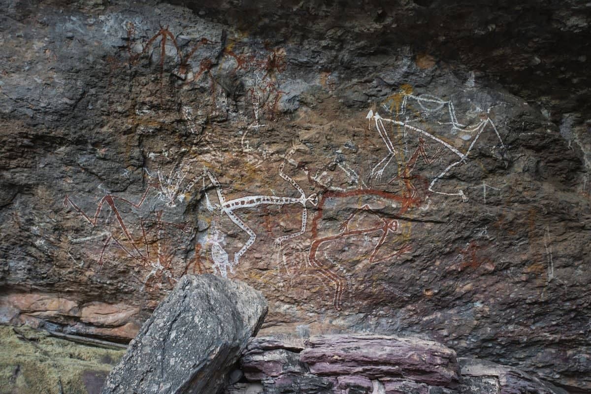 Lecture des peintures rupestres au parc national de kakadu