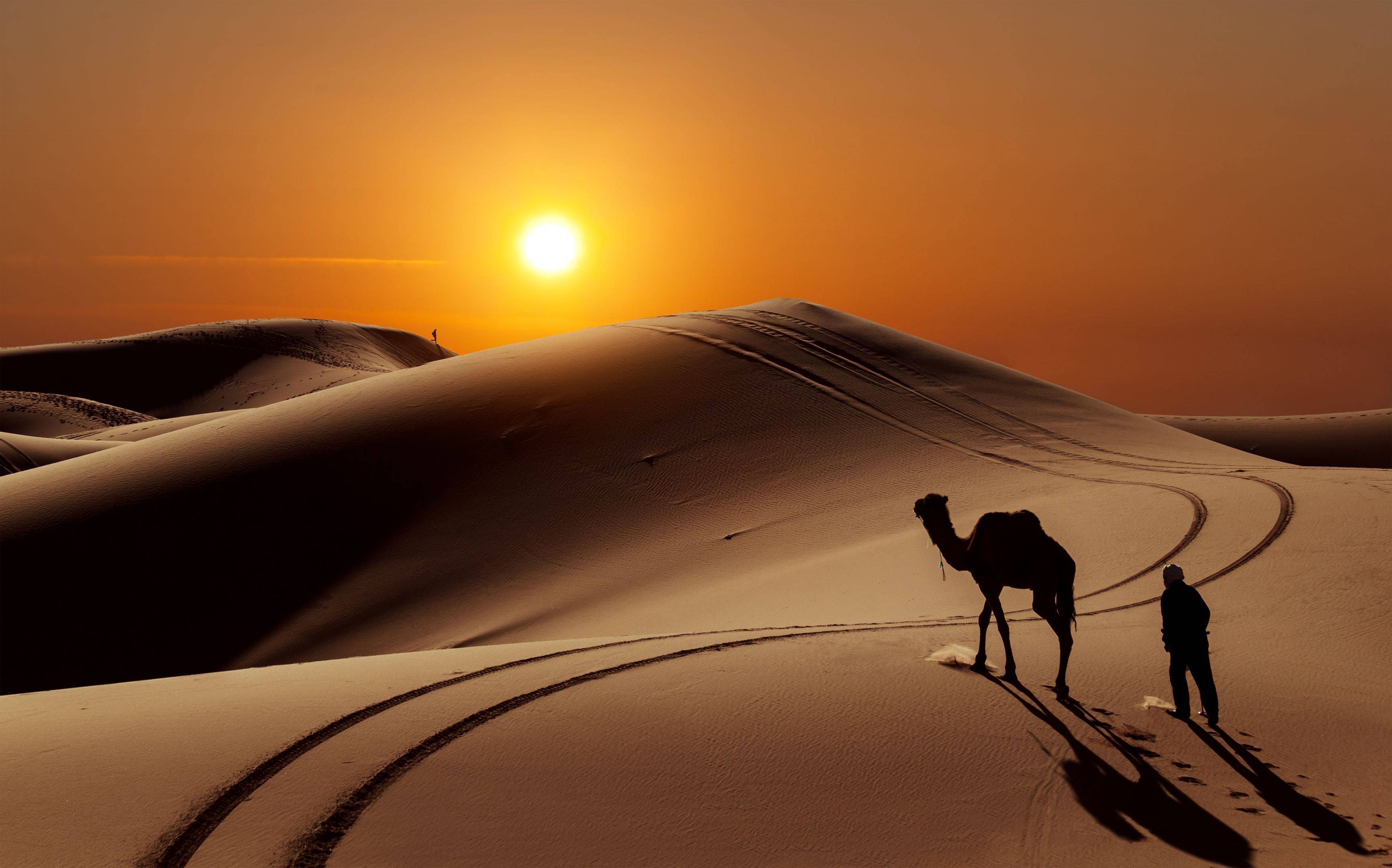 Descubriendo las dunas y la población bereber