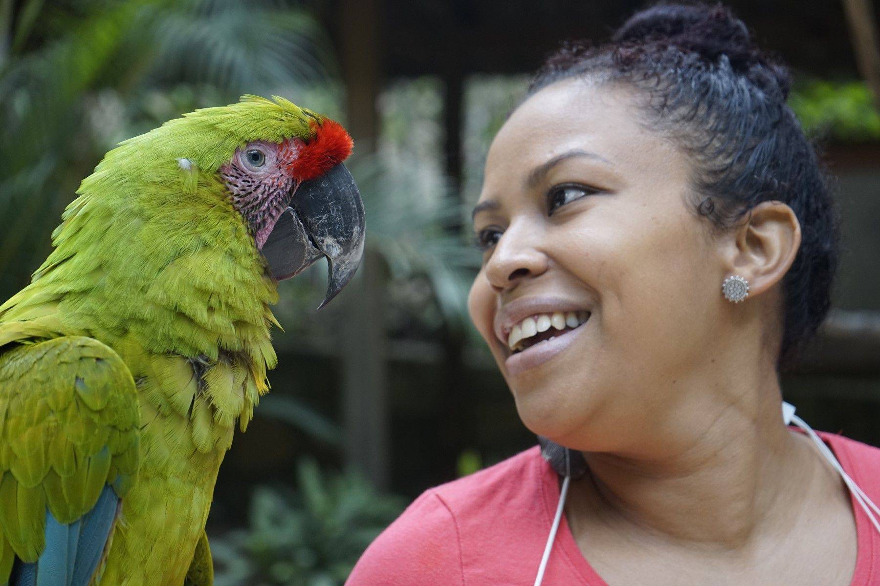 Visite d'une réserve d'oiseaux tropicaux au Honduras