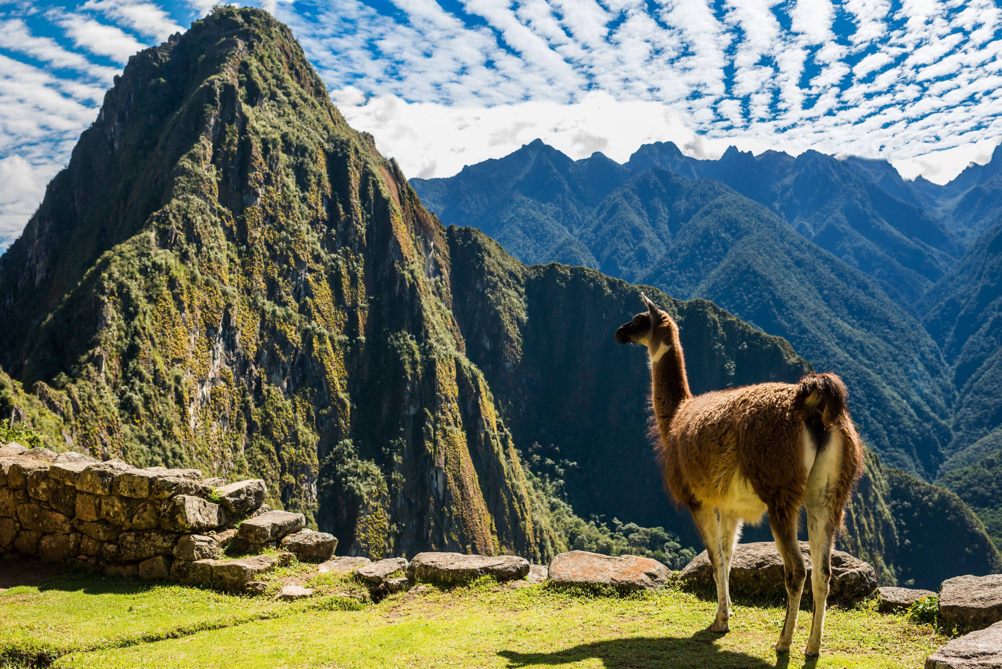 Scoperta di Machu Picchu