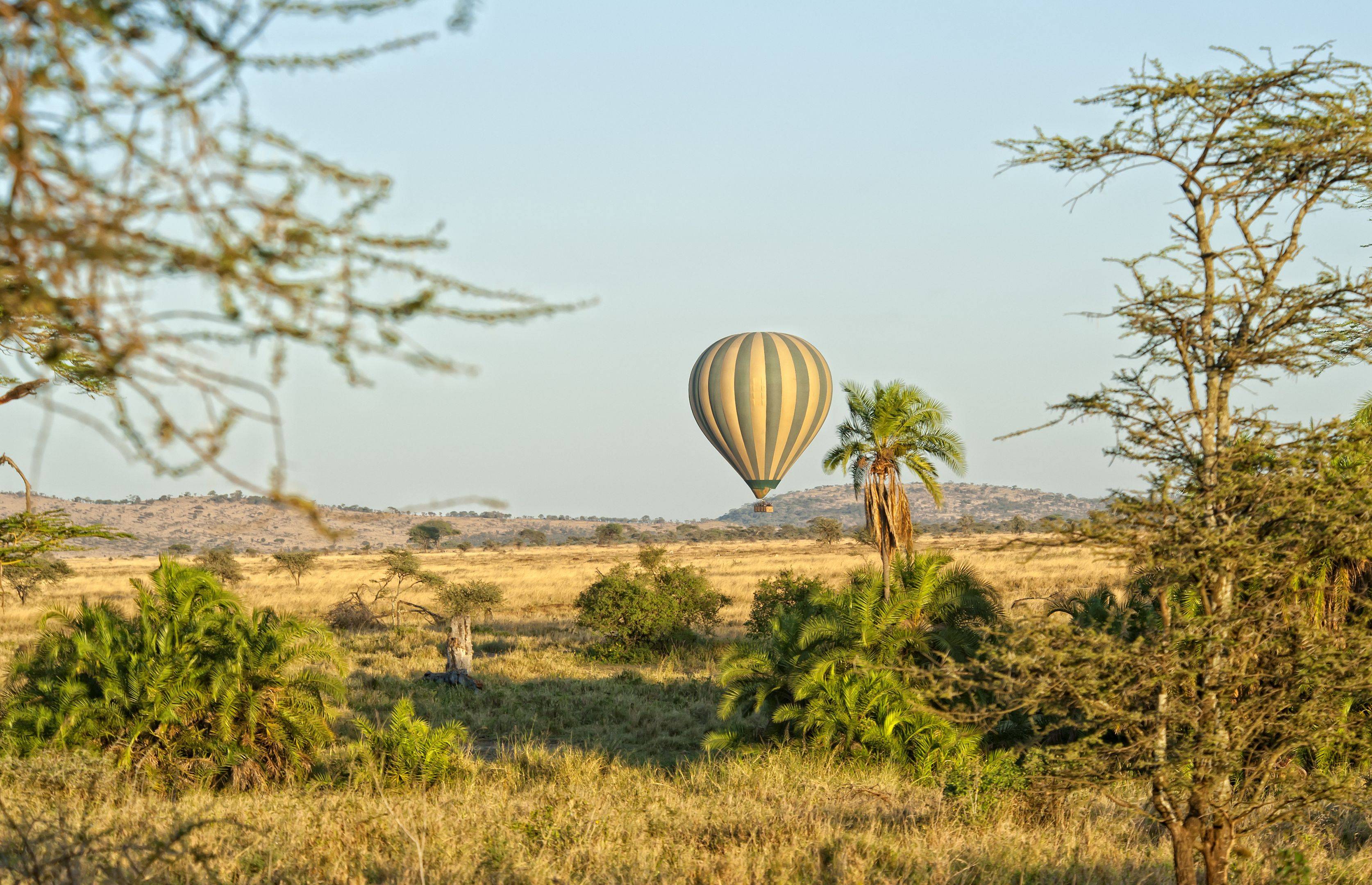 Safari dans le Parc National du Serengeti