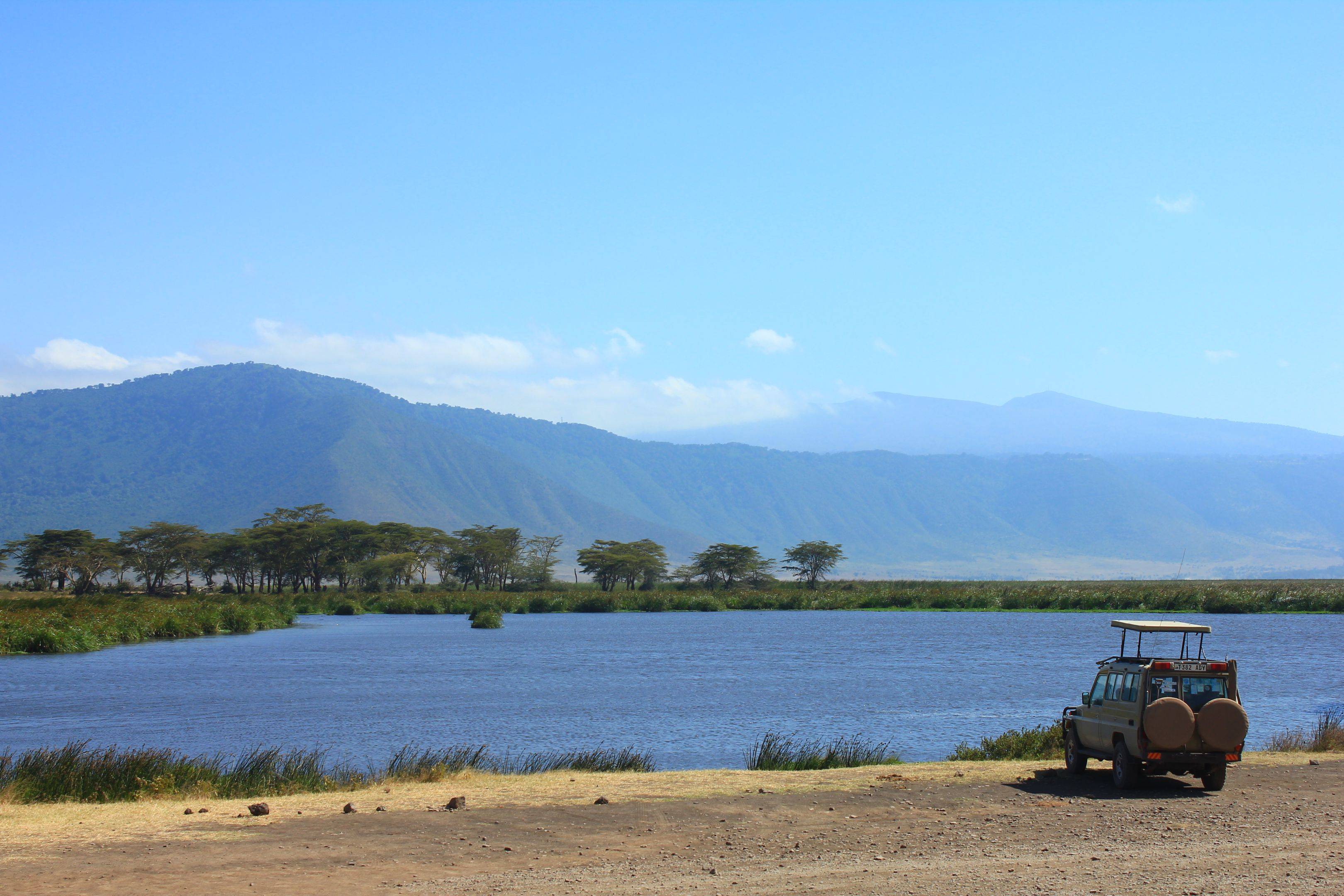 Von der Serengeti zum Ngorongoro Krater 