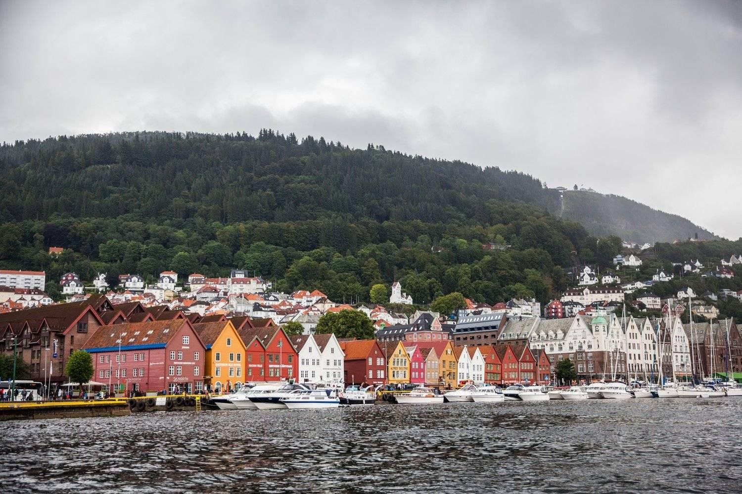 Route vers Bergen, la capitale des fjords