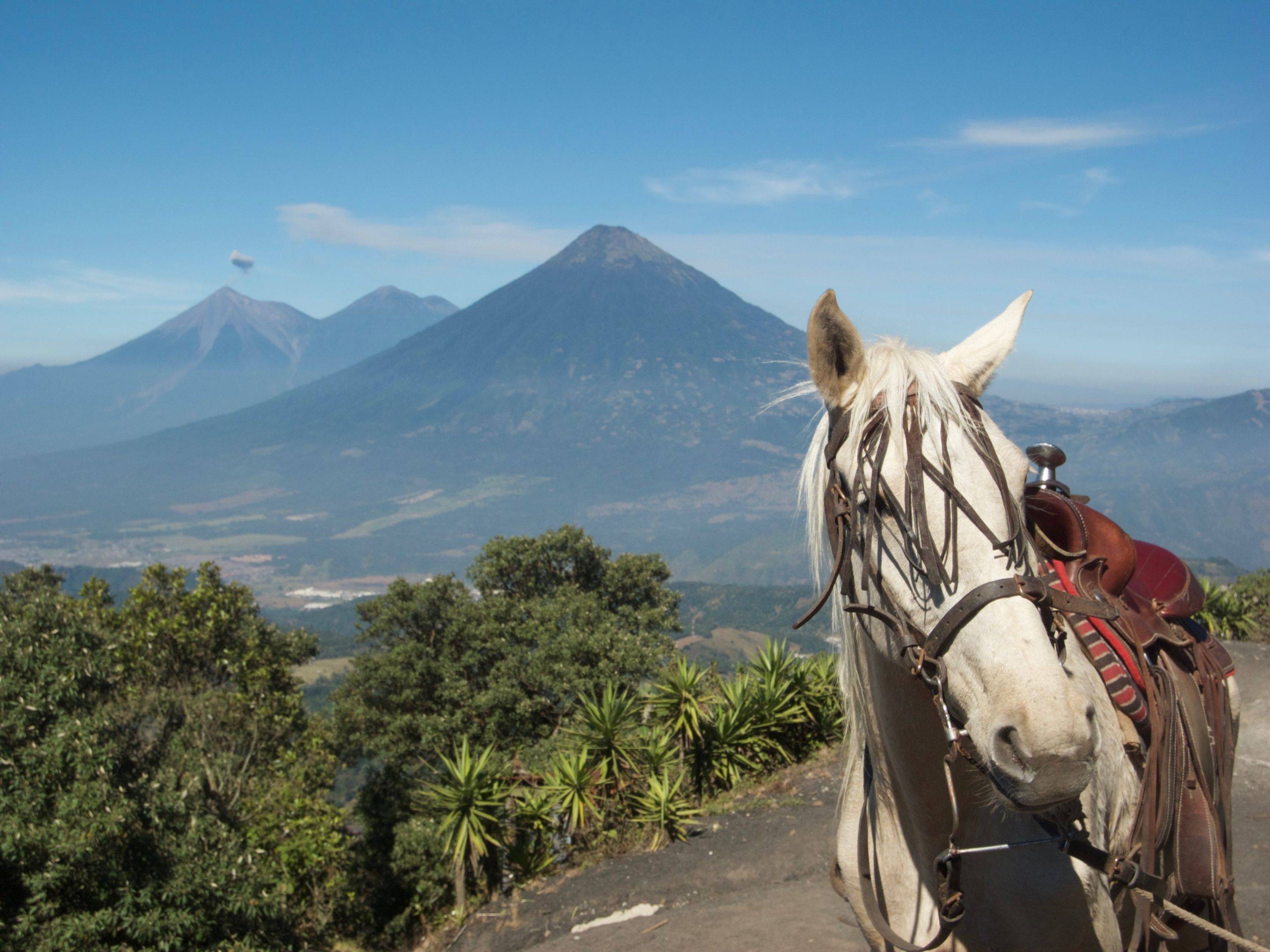 ​Ascension du volcan Pacaya et arrivée dans le nord du Guatemala