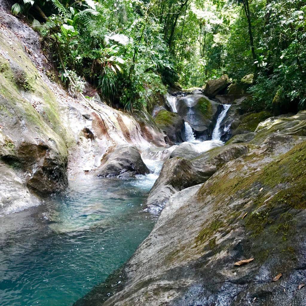 Entre cascade et rivière en pleine forêt tropicale