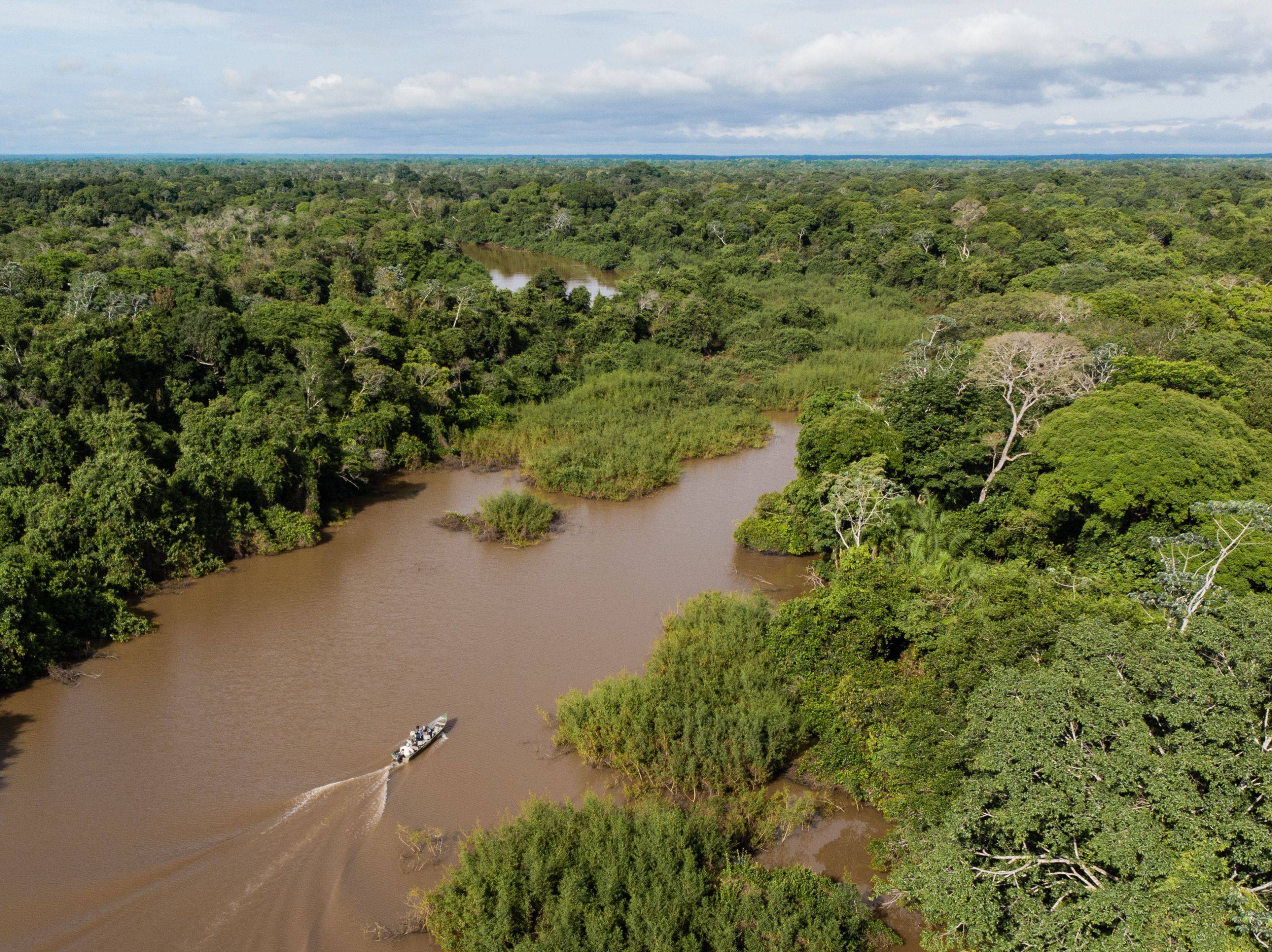 Activités à la carte dans le Pantanal sud