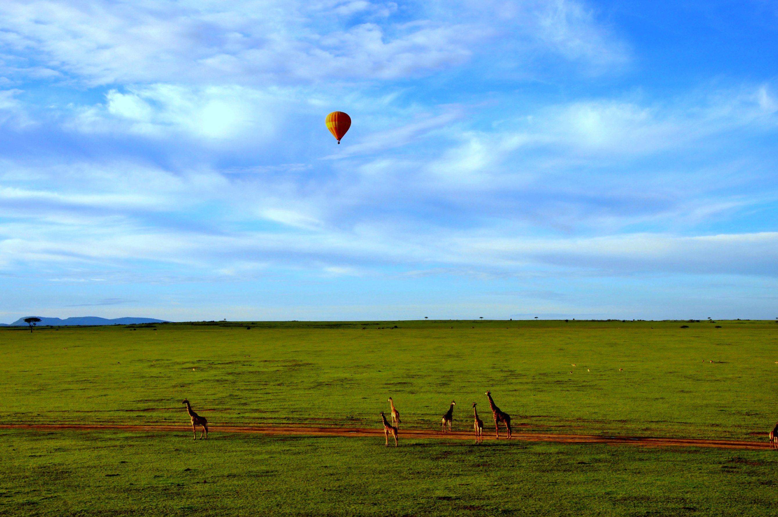 Día de safari en Masái Mara