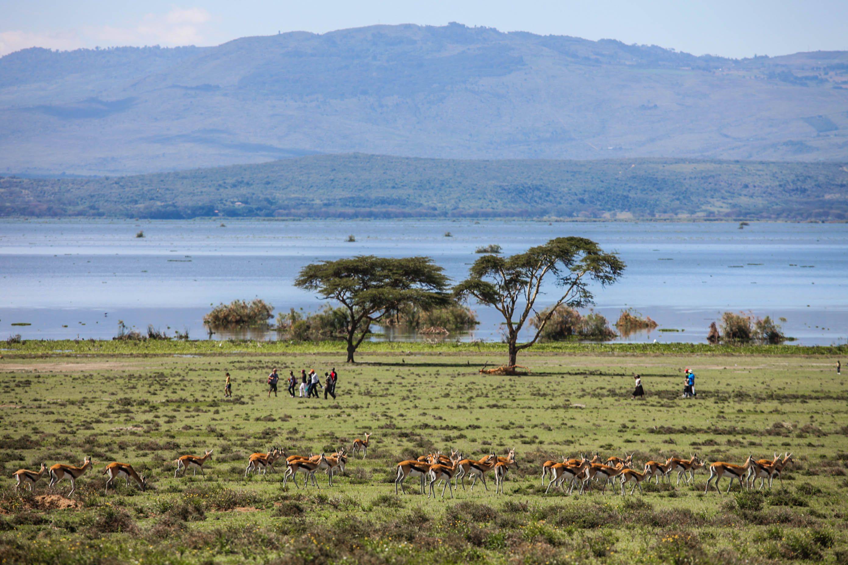 Traslado hasta el Lago ​Naivasha