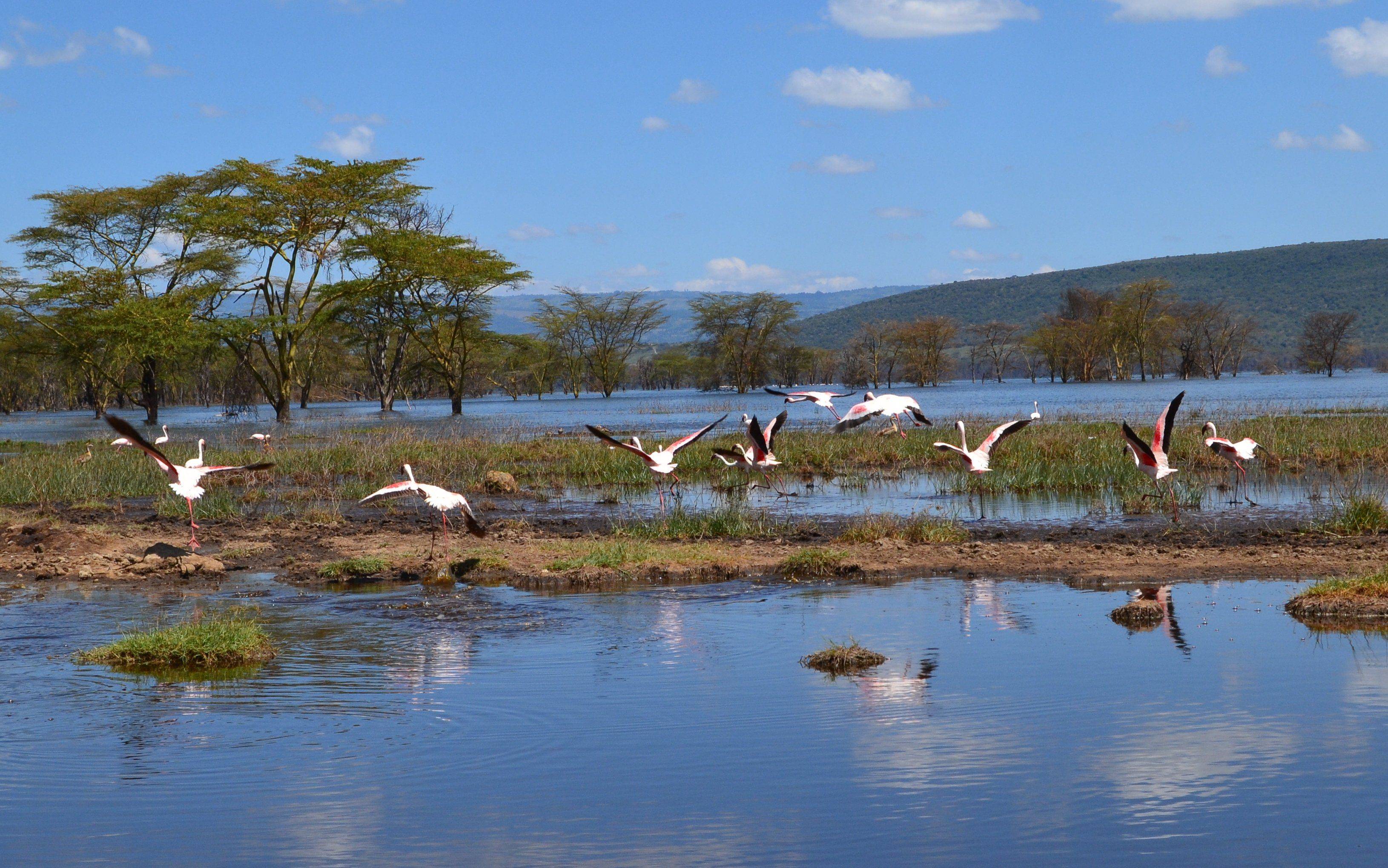 Hacia el Lago Naivasha
