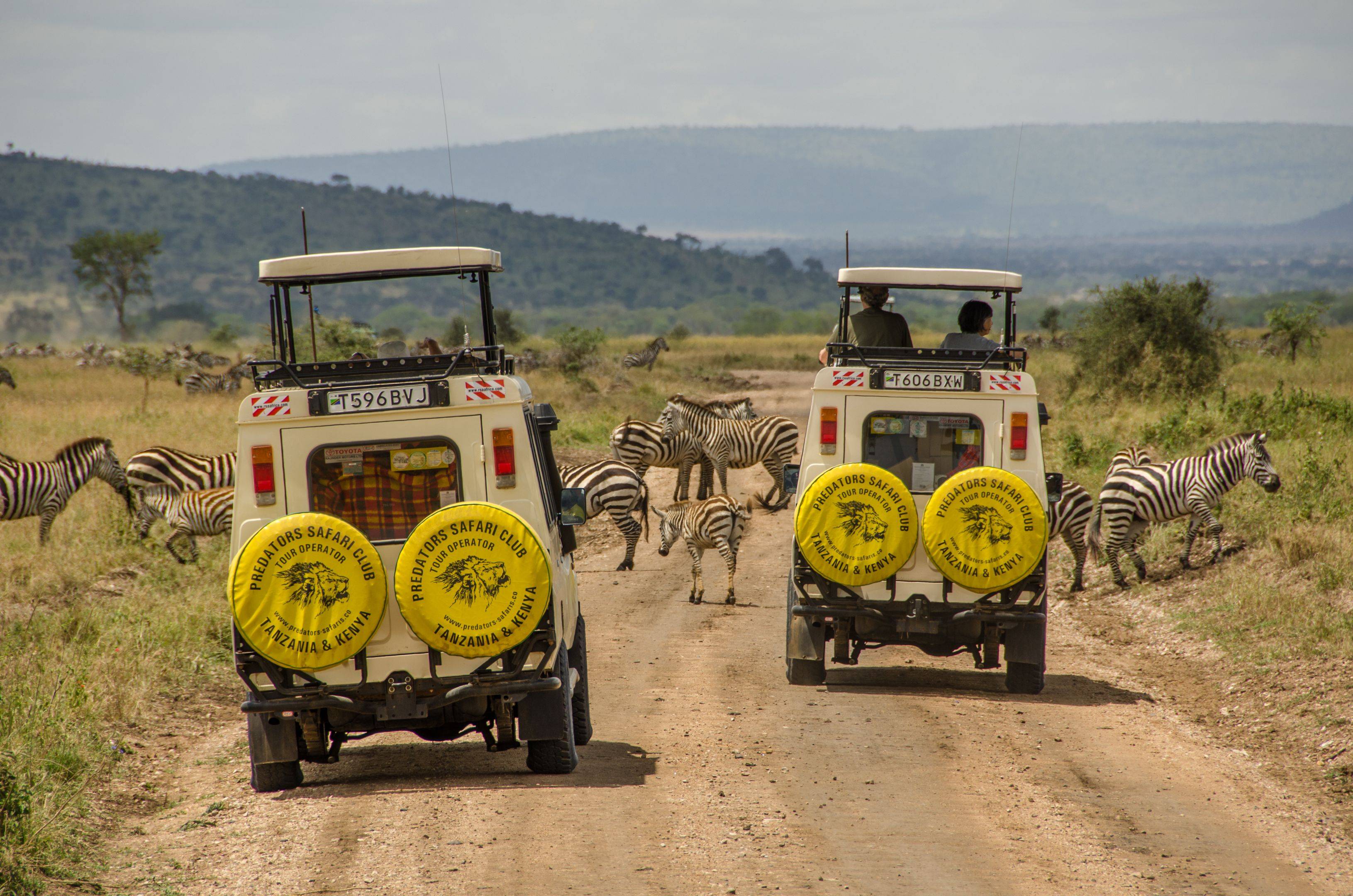I primi passi nel Serengeti National Park