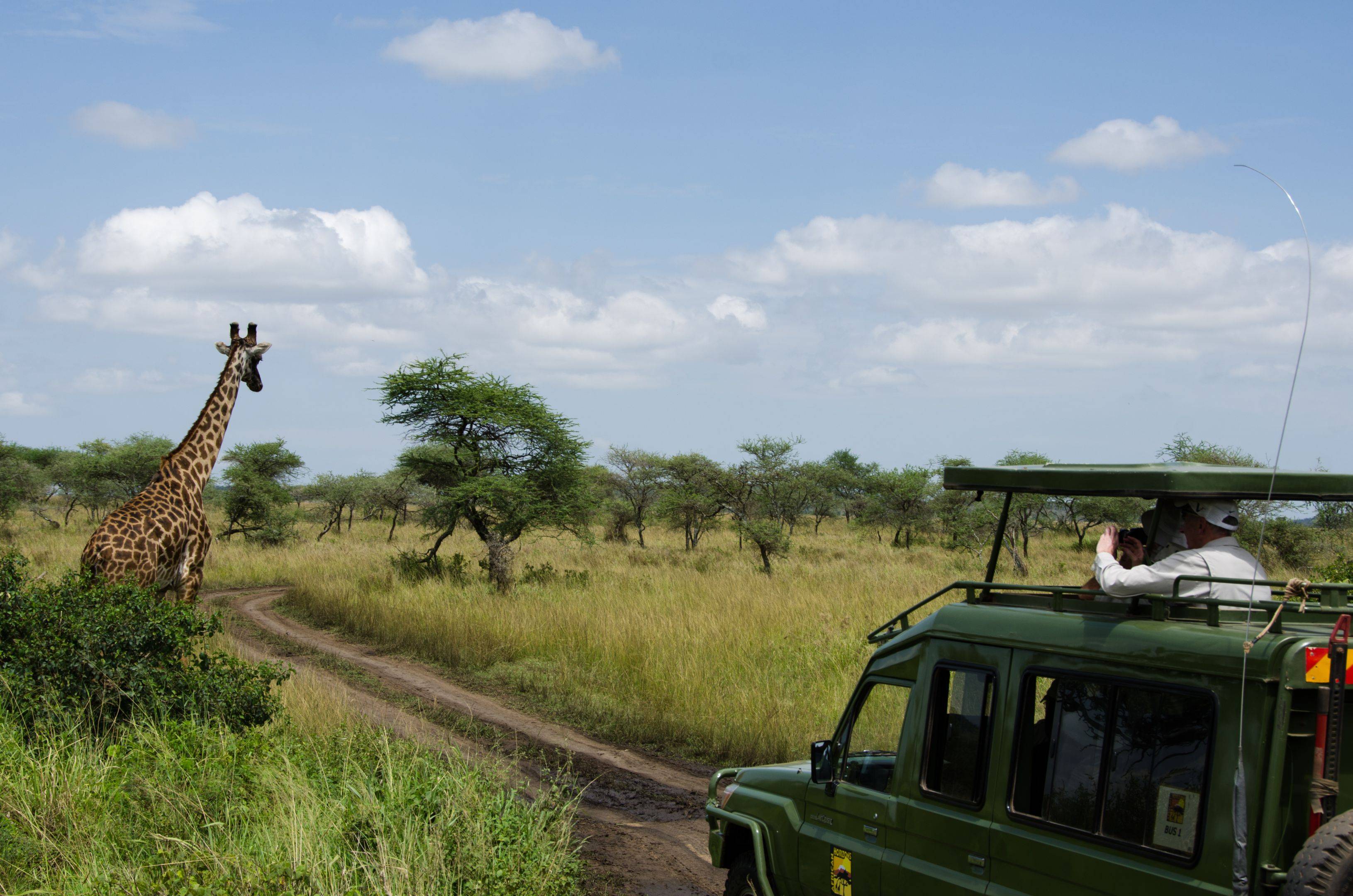 Da Seronera al Serengeti nord