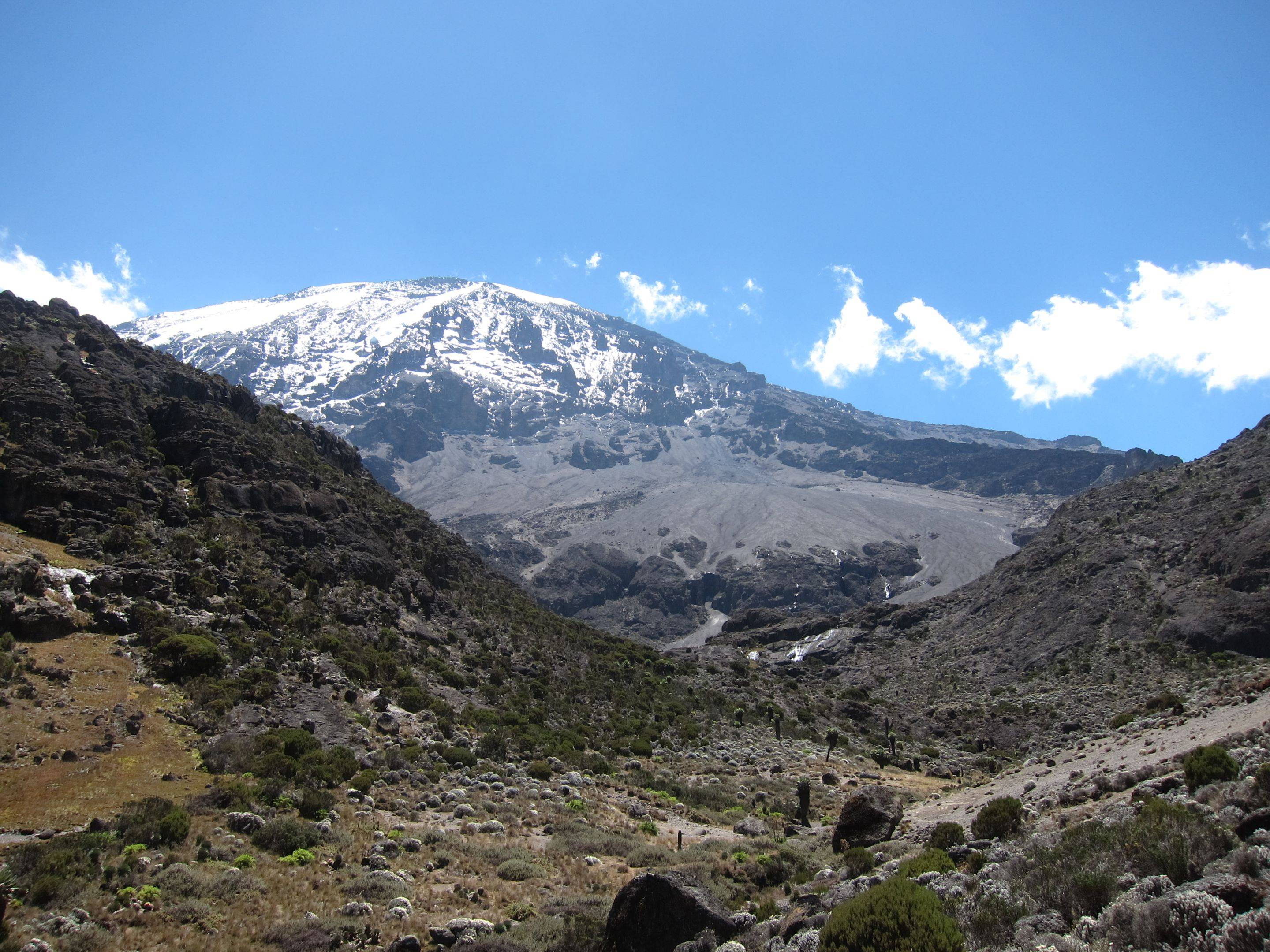 Il parco del Kilimanjaro