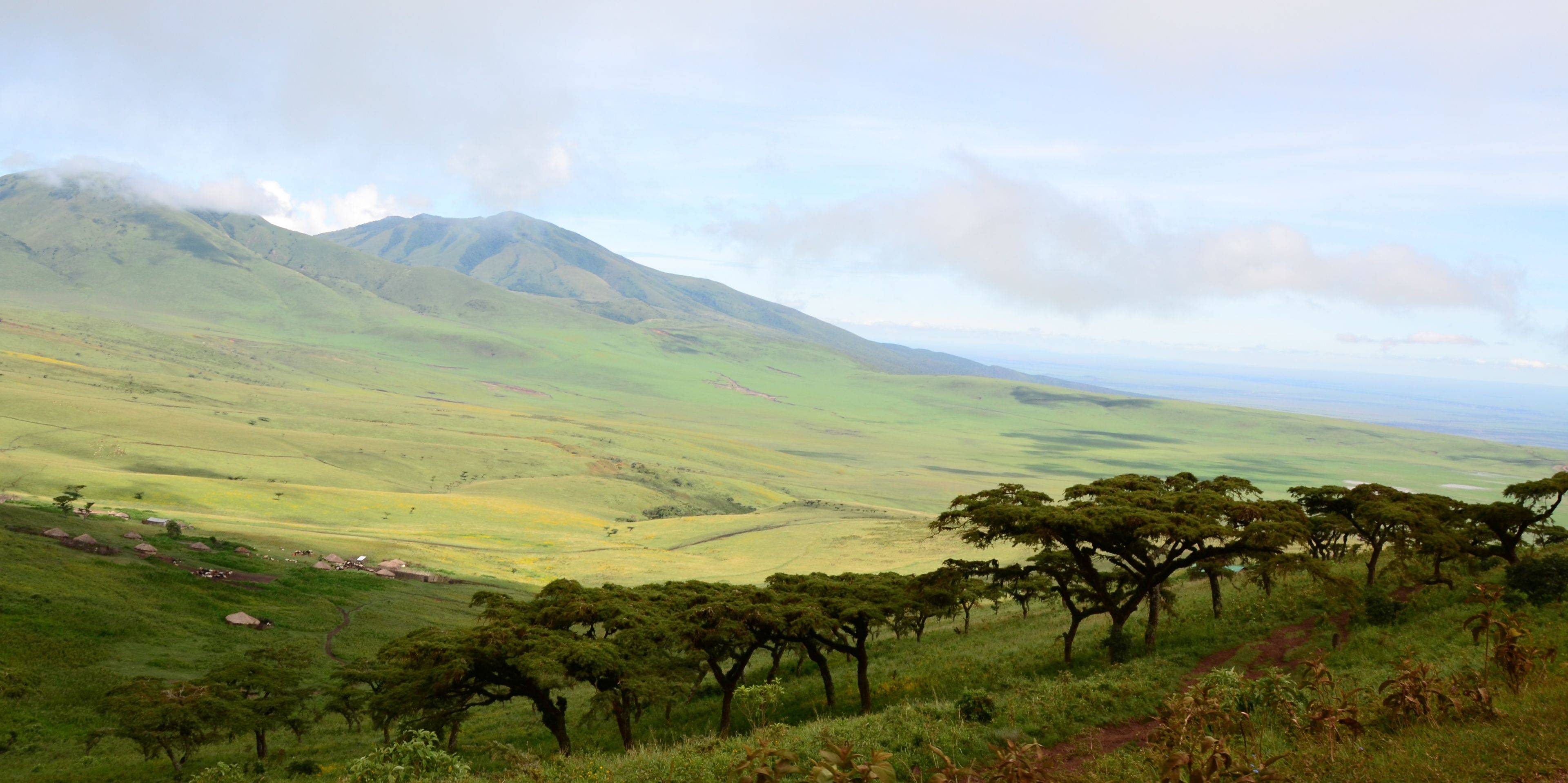 Cratere Ngorongoro
