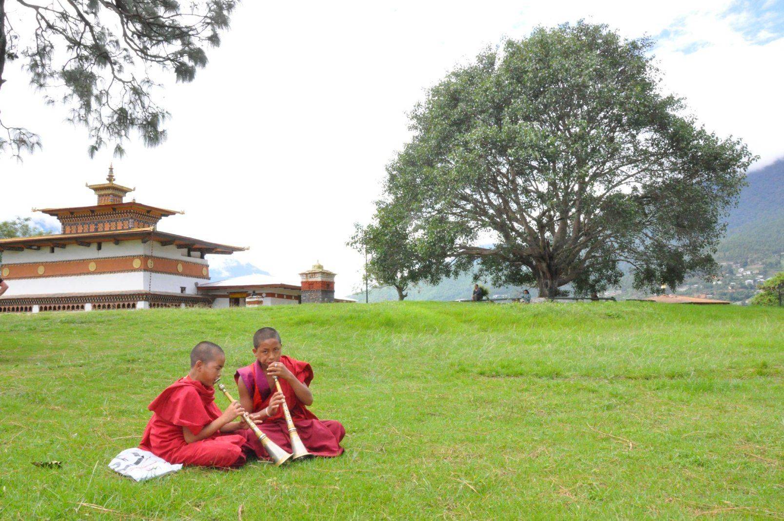 ​Durch beeindruckende Landschaft zurück ins subtropische Punakha