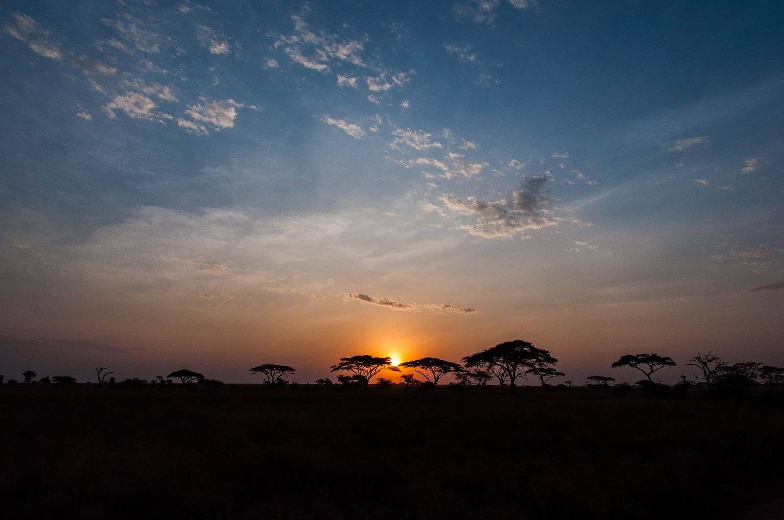 Ngorongoro Conservation Area e il Parco Serengeti