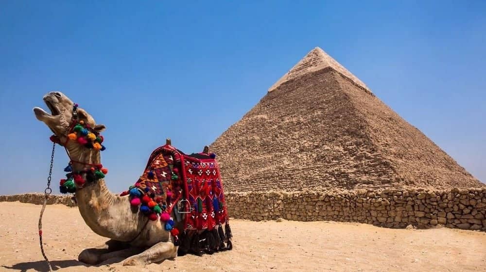 Retour dans le passé :  les Pyramides et Saqqarah