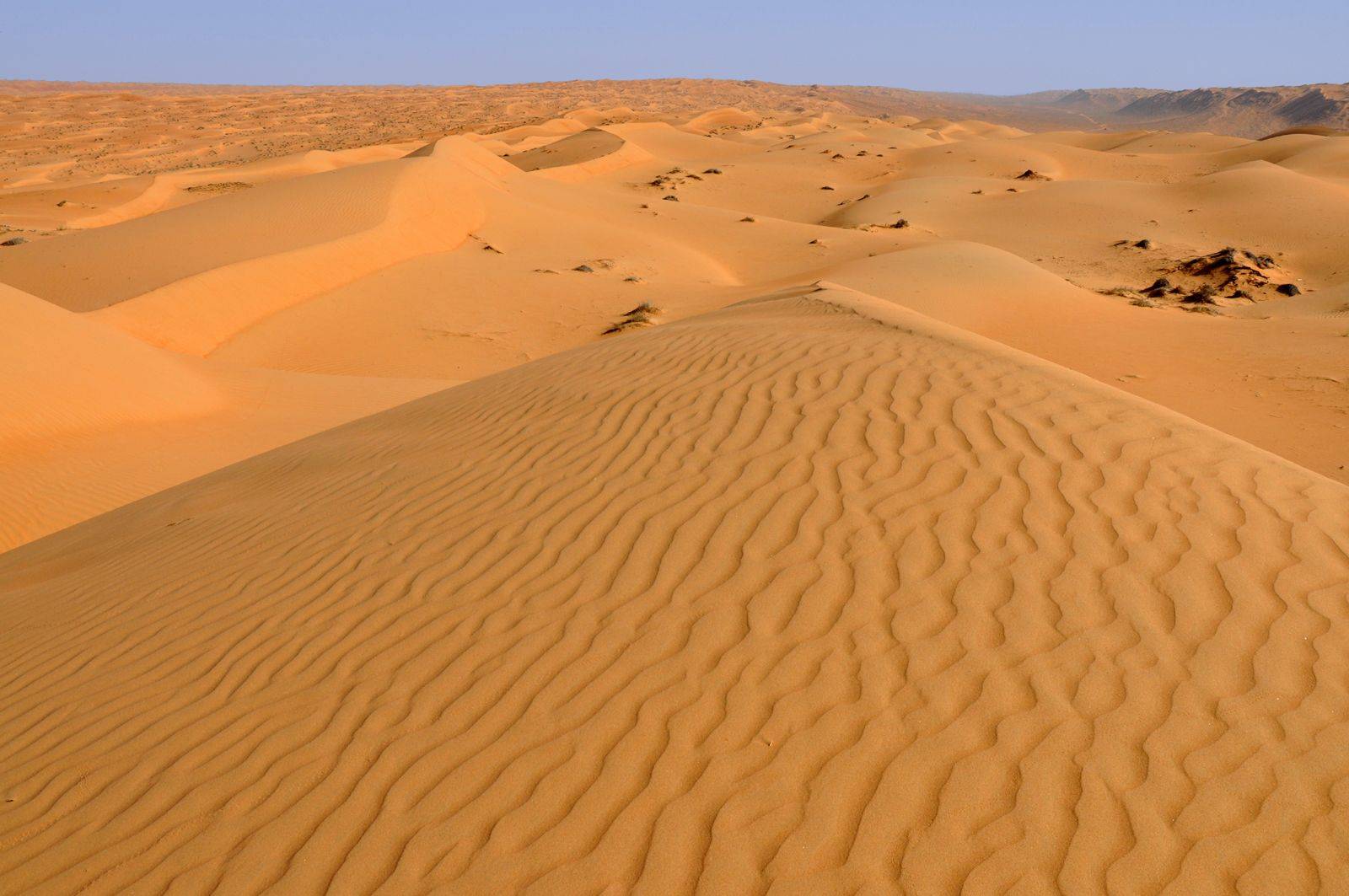La traversata del deserto delle Wahiba Sands 