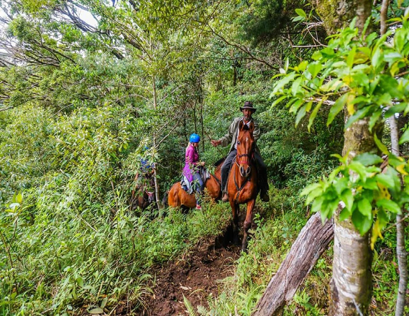 Avventura e passeggiate a cavallo nel magico Monteverde 